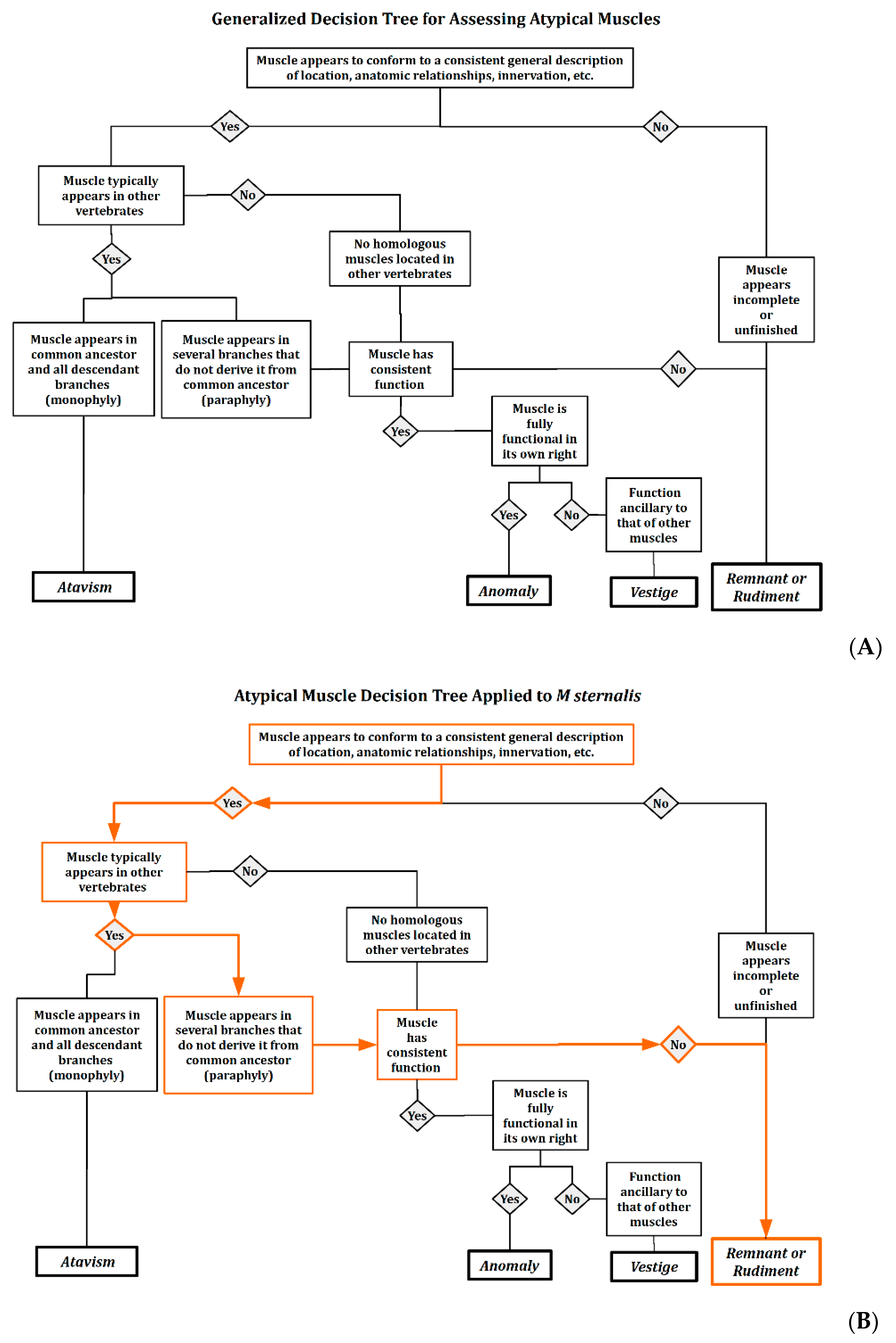 Diagnostics 10 00508 g005