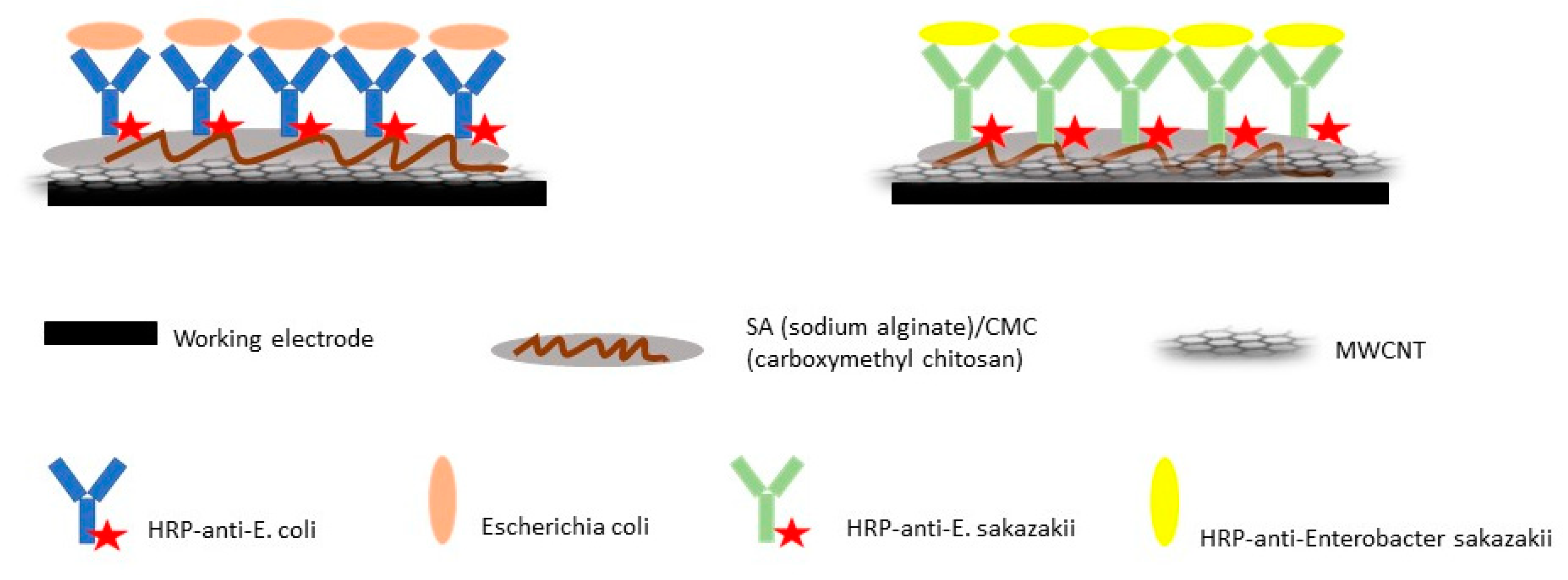Diagnostics 10 00517 g002 Diagnostics 10 00517 g002