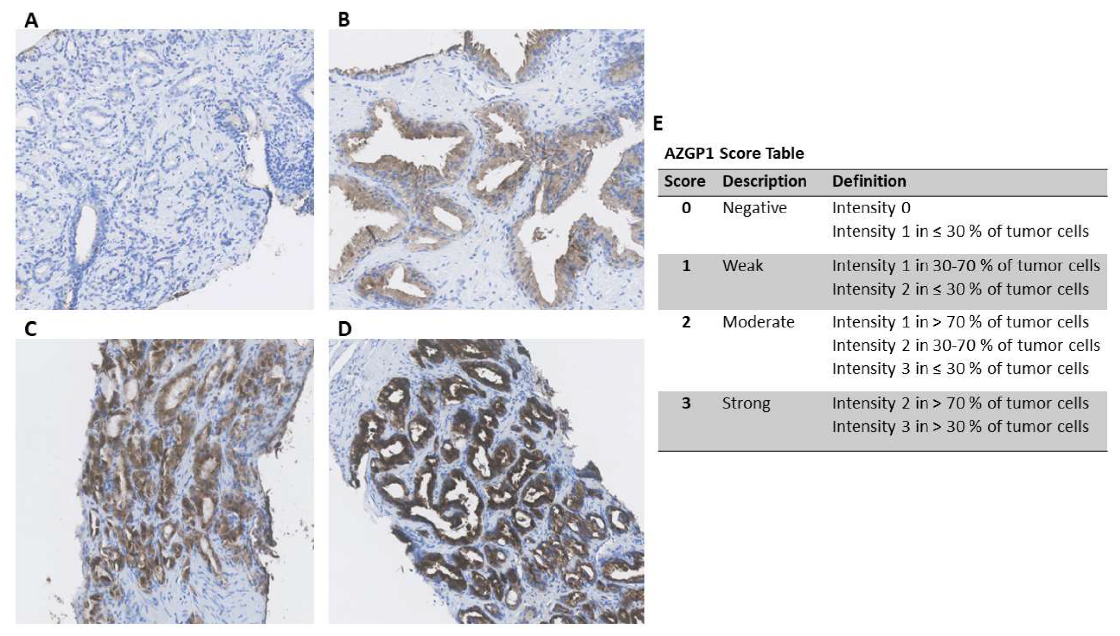 Diagnostics 10 00520 g001 Diagnostics 10 00520 g001