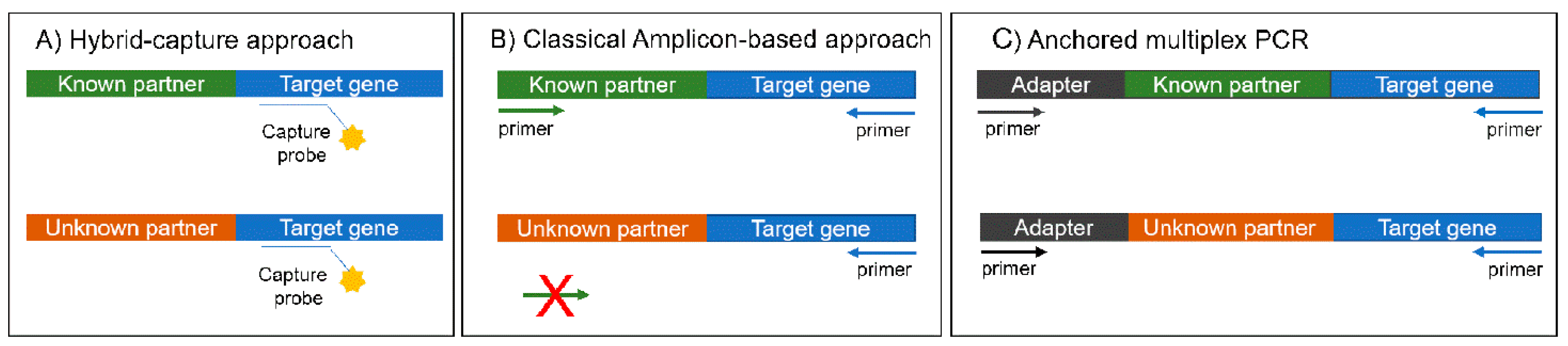 Diagnostics 10 00521 g001