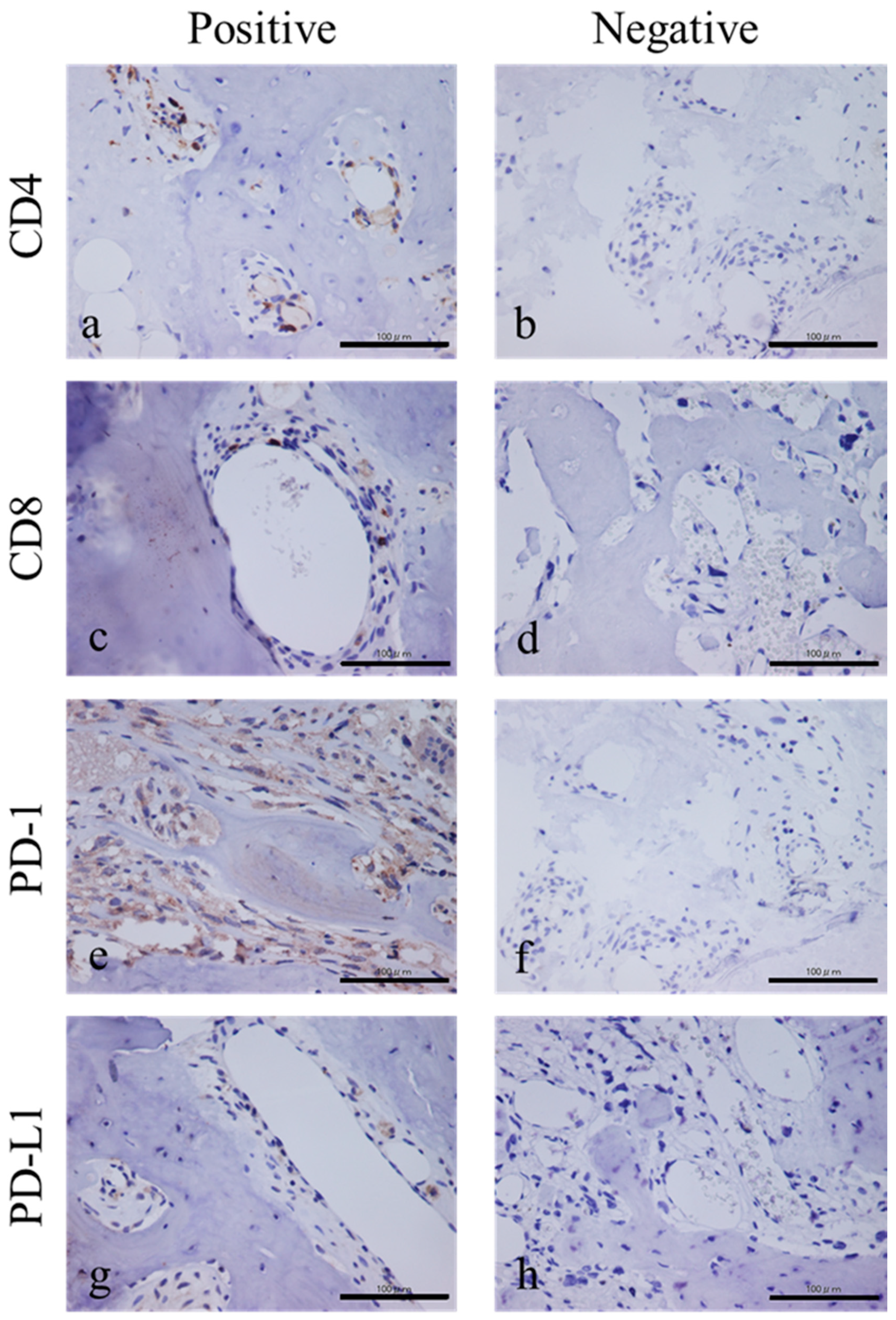 Diagnostics 10 00528 g001 Diagnostics 10 00528 g001