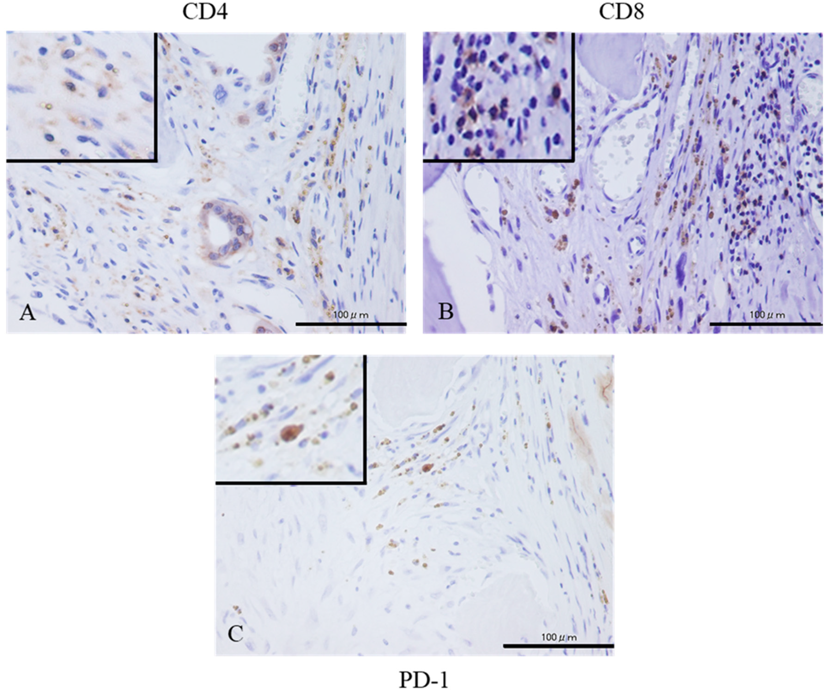 Diagnostics 10 00528 g002 Diagnostics 10 00528 g002