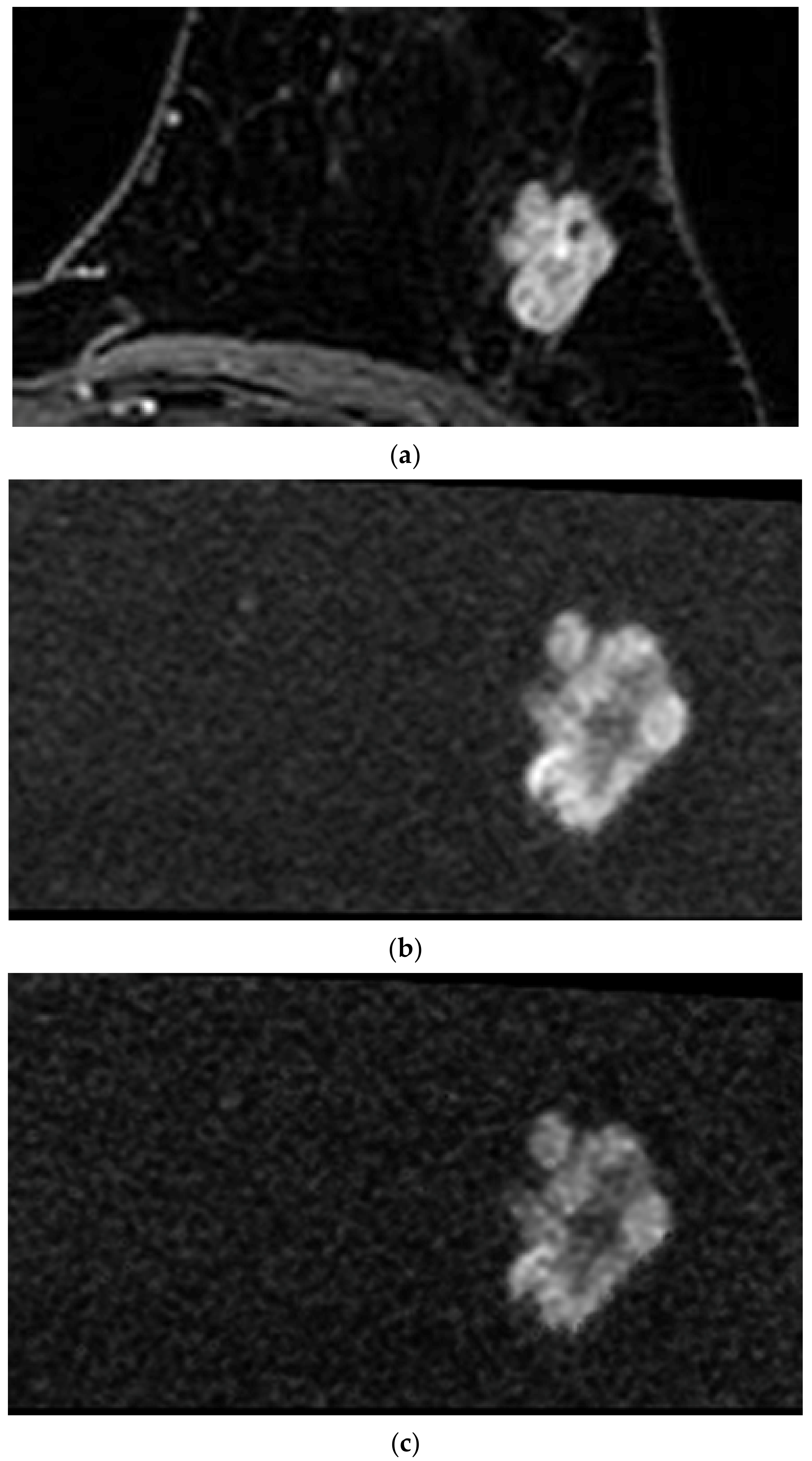 Diagnostics 10 00538 g002 Diagnostics 10 00538 g002