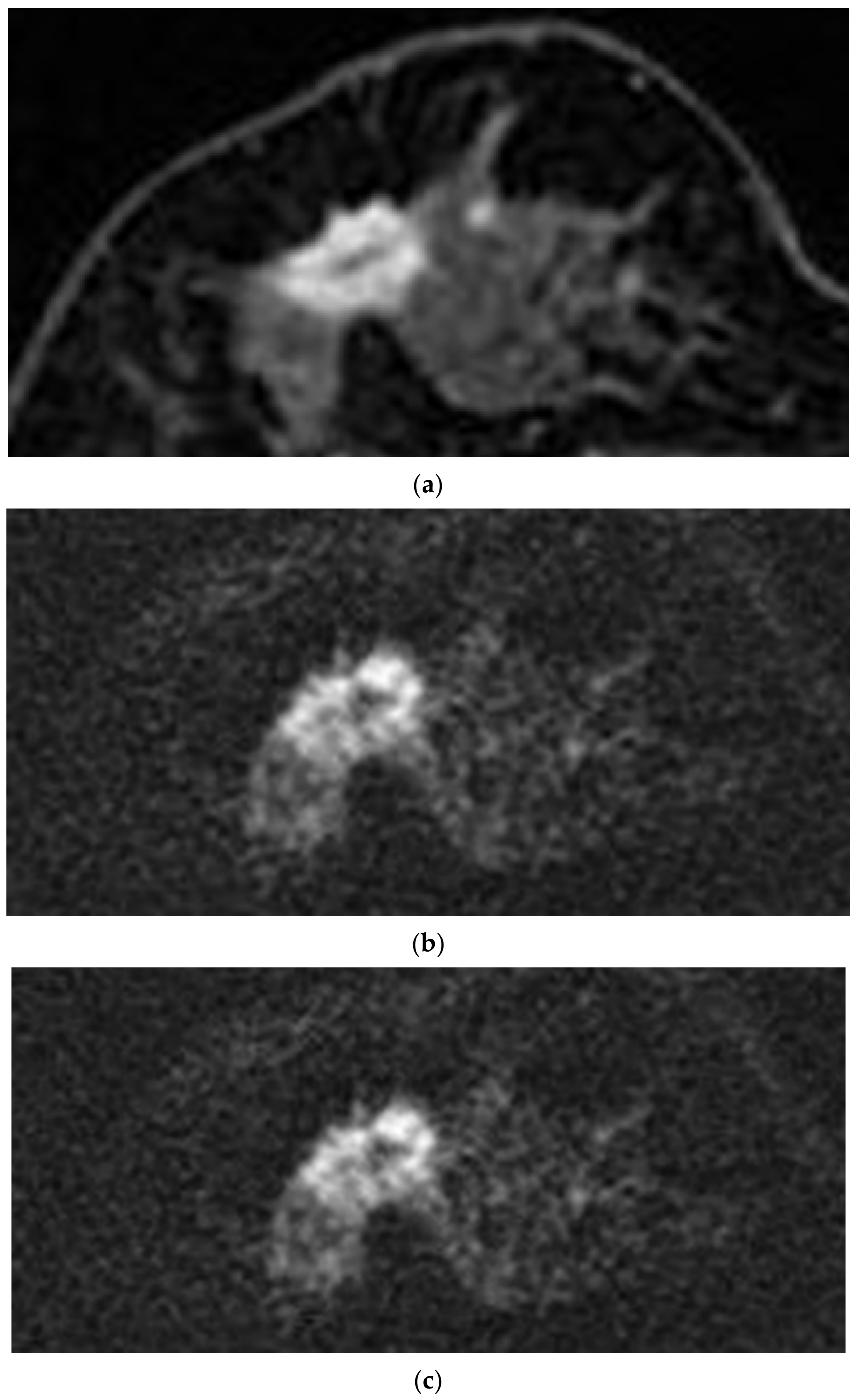 Diagnostics 10 00538 g003 Diagnostics 10 00538 g003