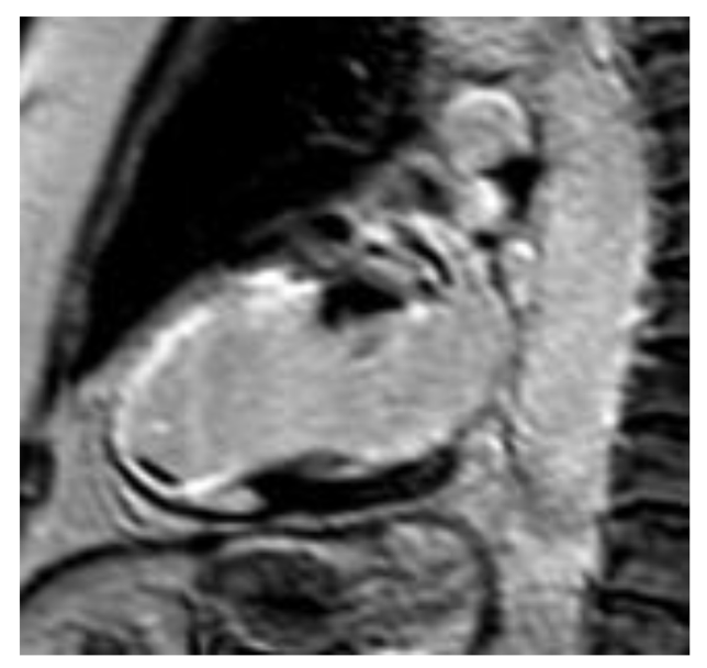 Diagnostics 10 00541 g001 Diagnostics 10 00541 g001