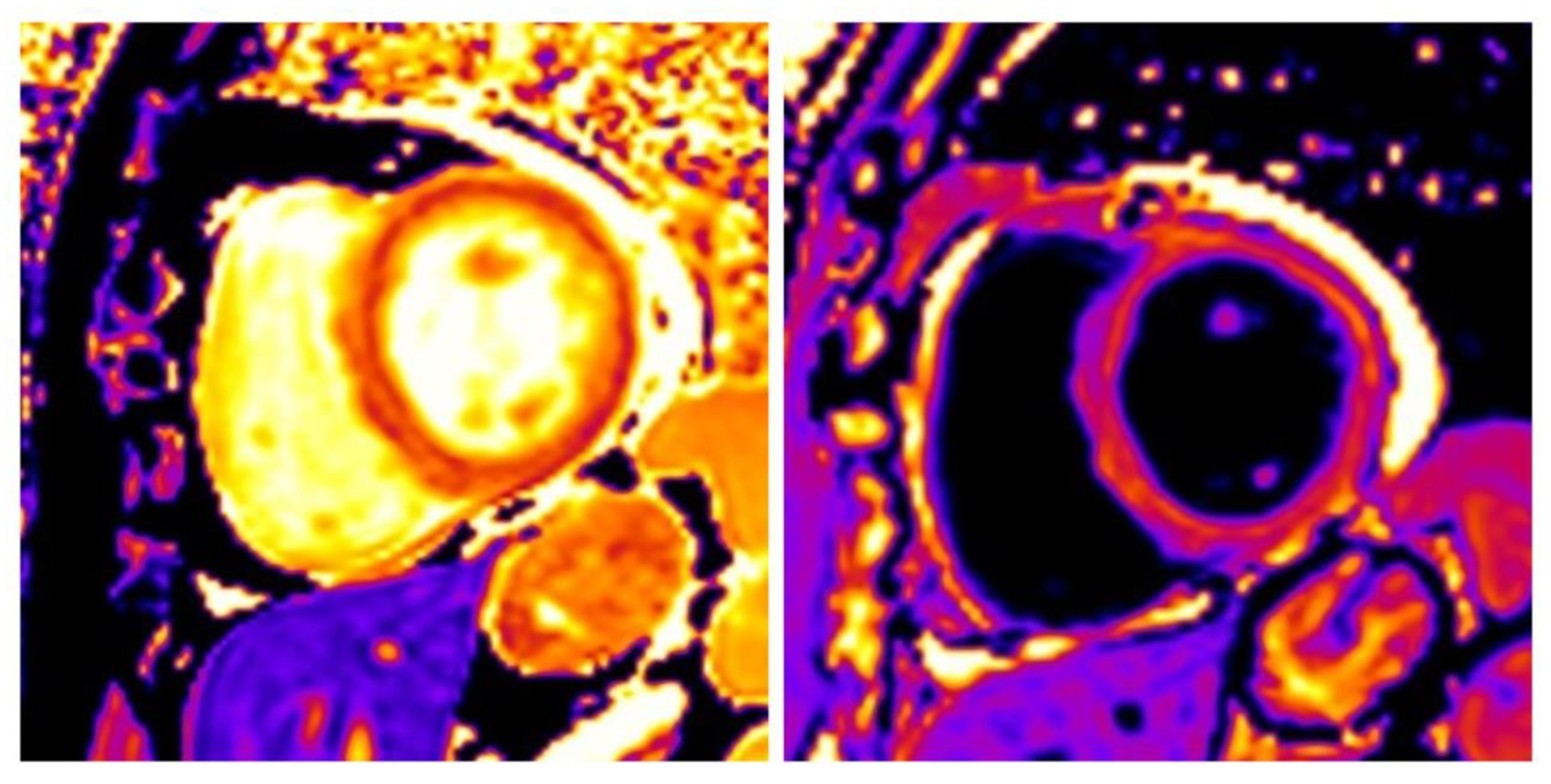 Diagnostics 10 00541 g002 Diagnostics 10 00541 g002