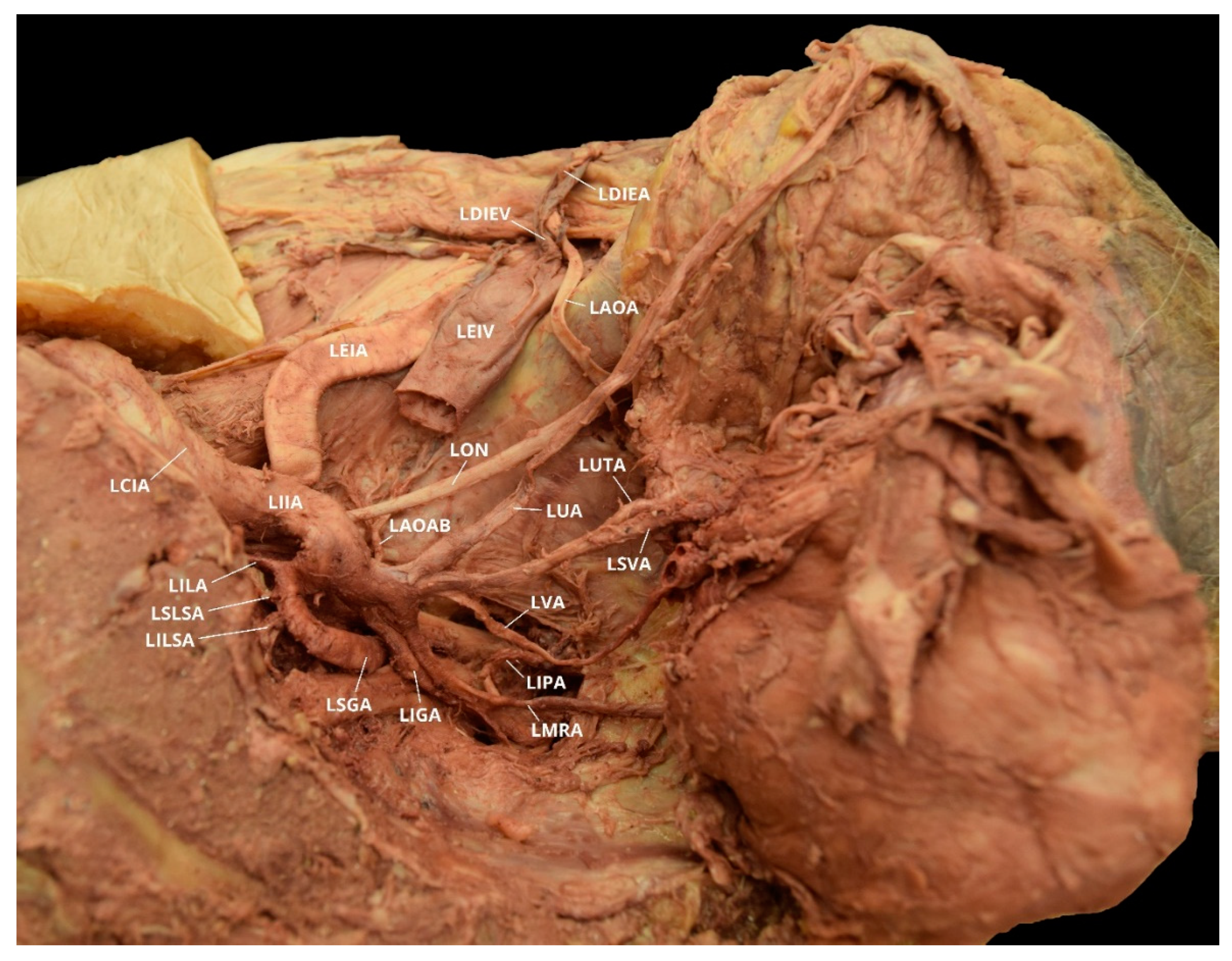 Diagnostics 10 00546 g008