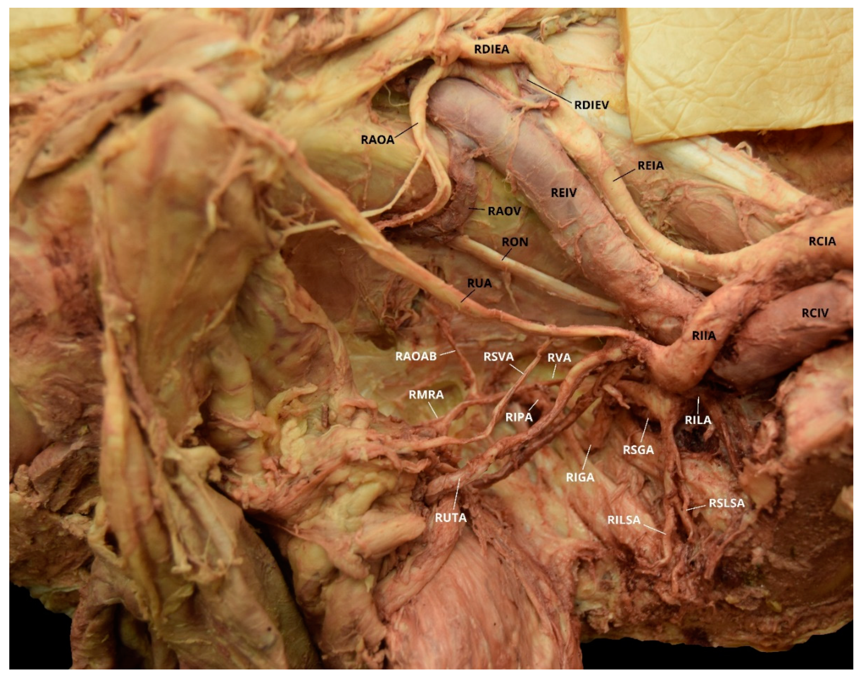 Diagnostics 10 00546 g009