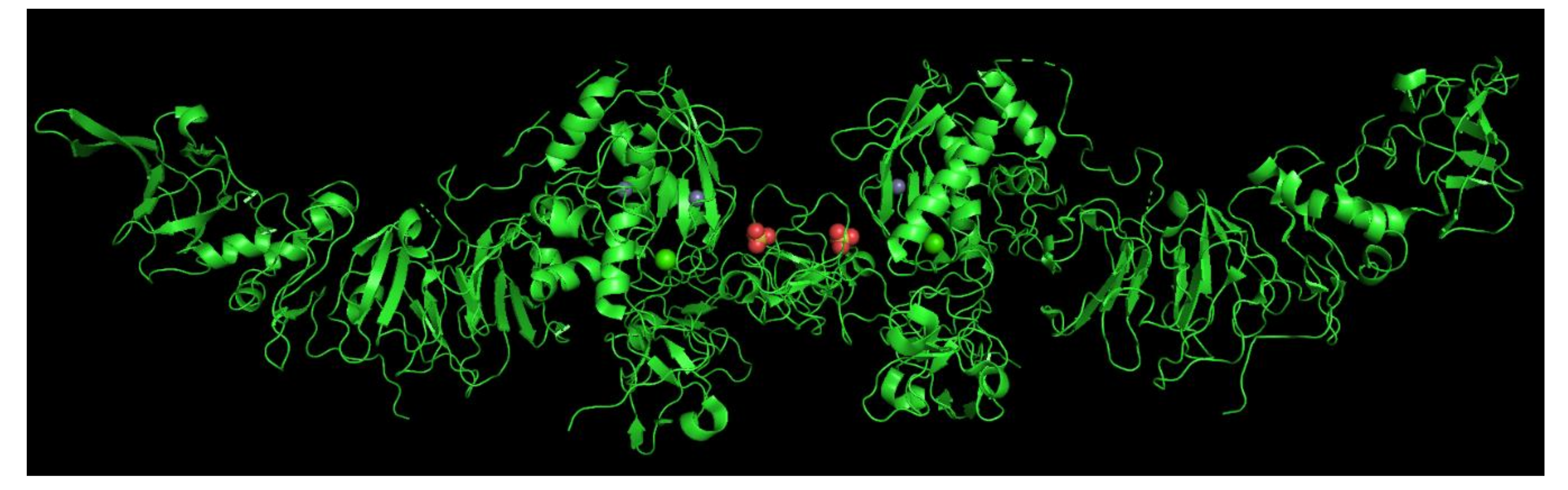 Diagnostics 10 00547 g001 Diagnostics 10 00547 g001