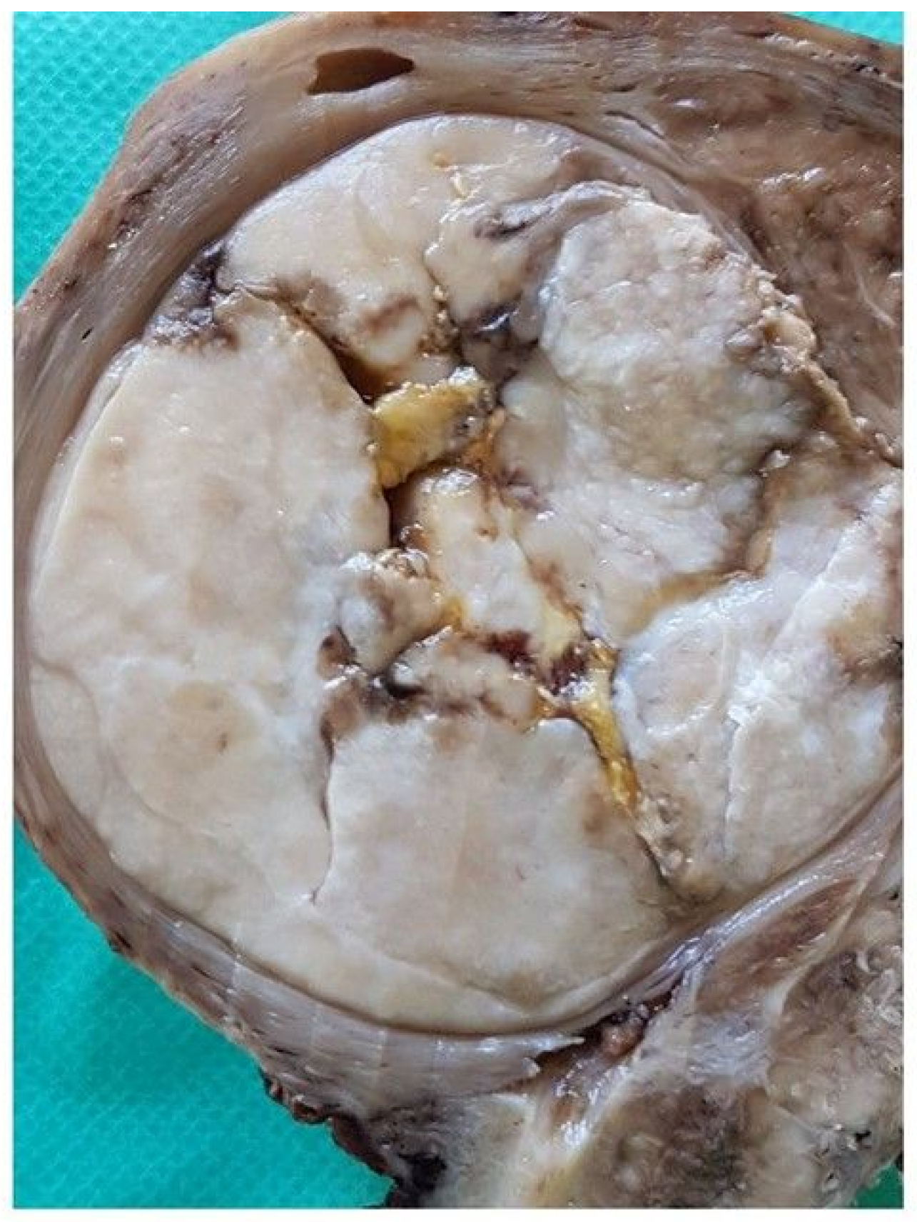 Diagnostics 10 00553 g002