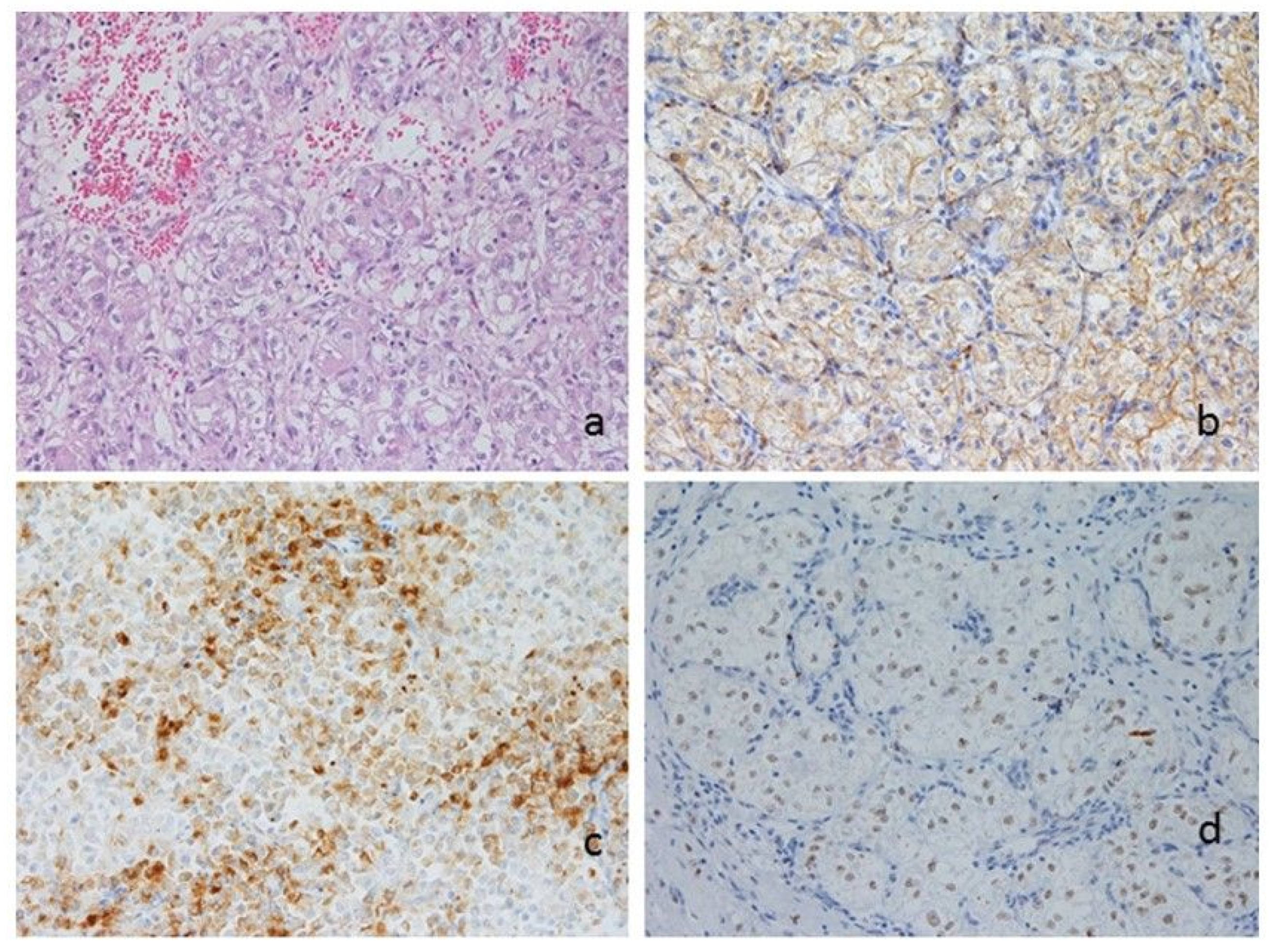 Diagnostics 10 00553 g003