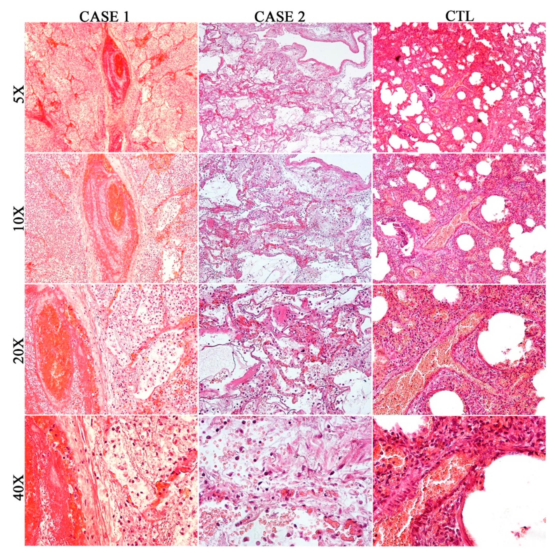 Diagnostics 10 00575 g002 Diagnostics 10 00575 g002