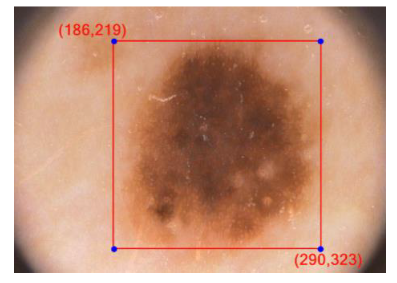 Diagnostics 10 00577 g003