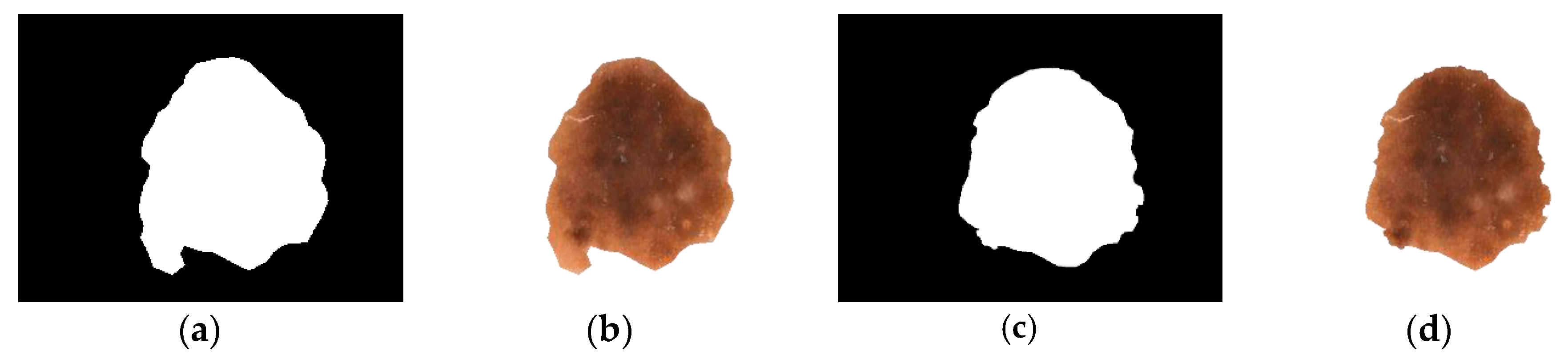 Diagnostics 10 00577 g008