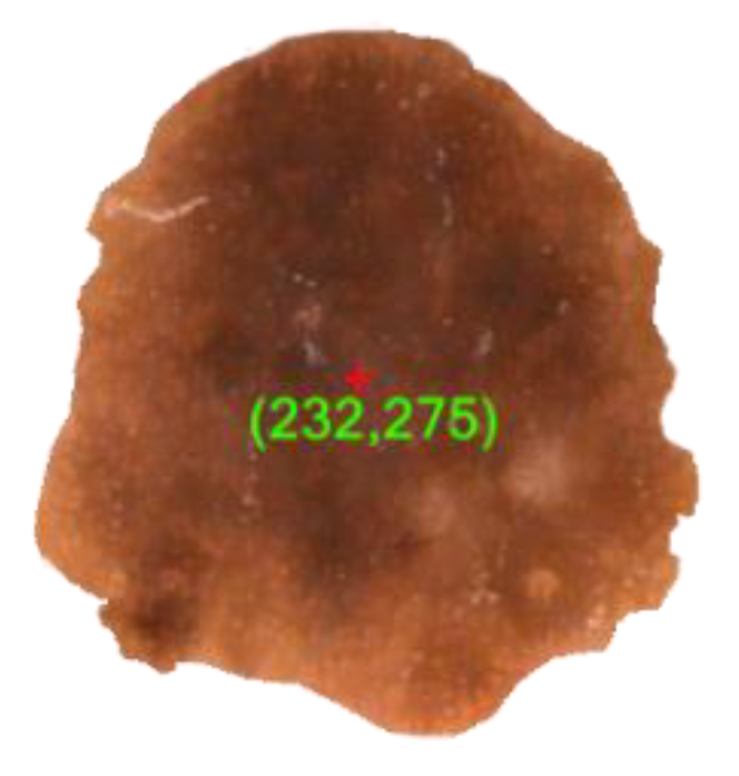 Diagnostics 10 00577 g009