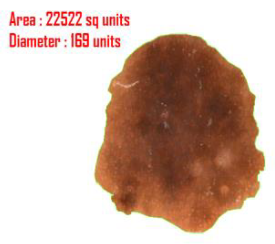 Diagnostics 10 00577 g012