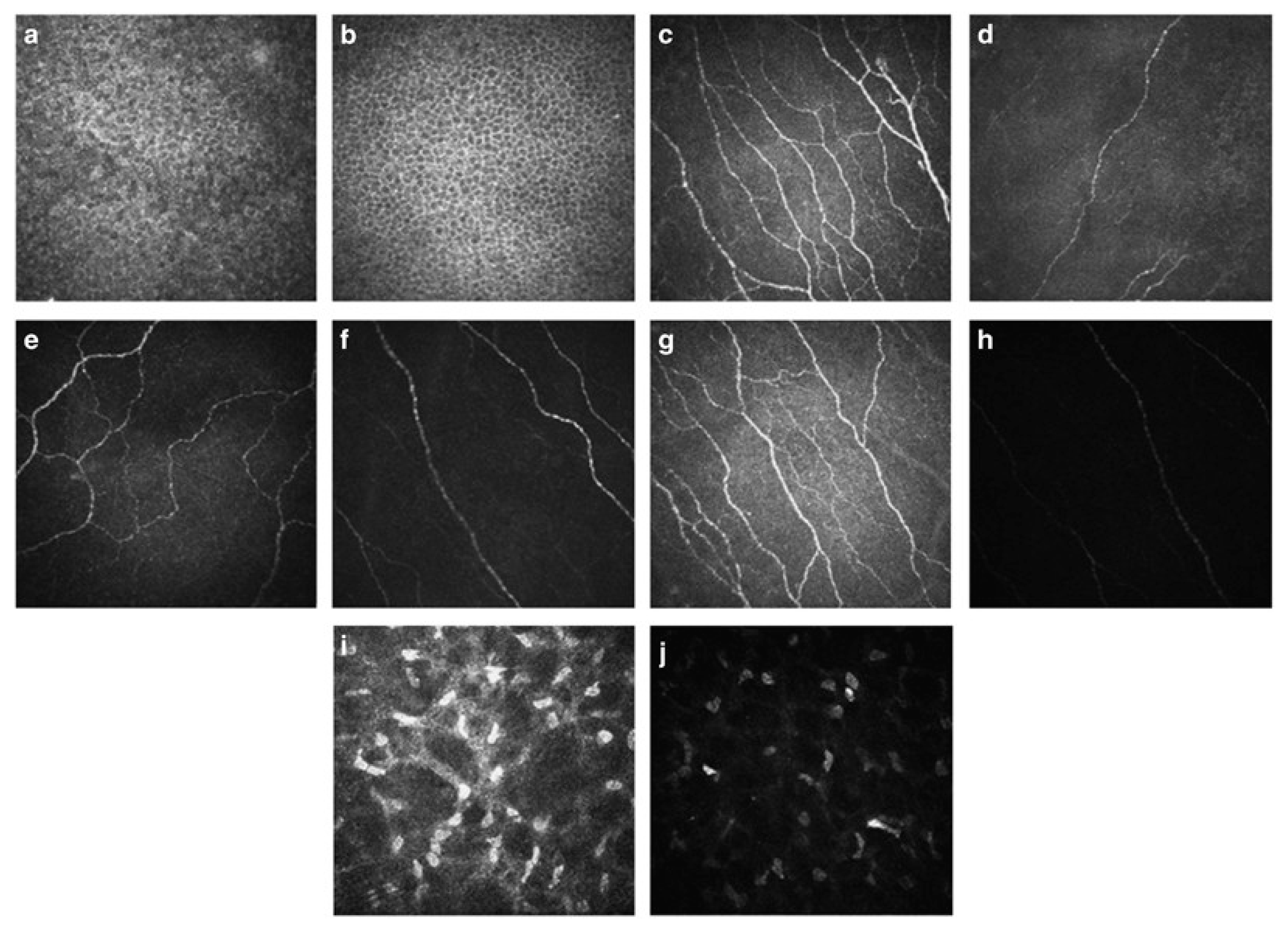 Diagnostics 10 00589 g003 Diagnostics 10 00589 g003