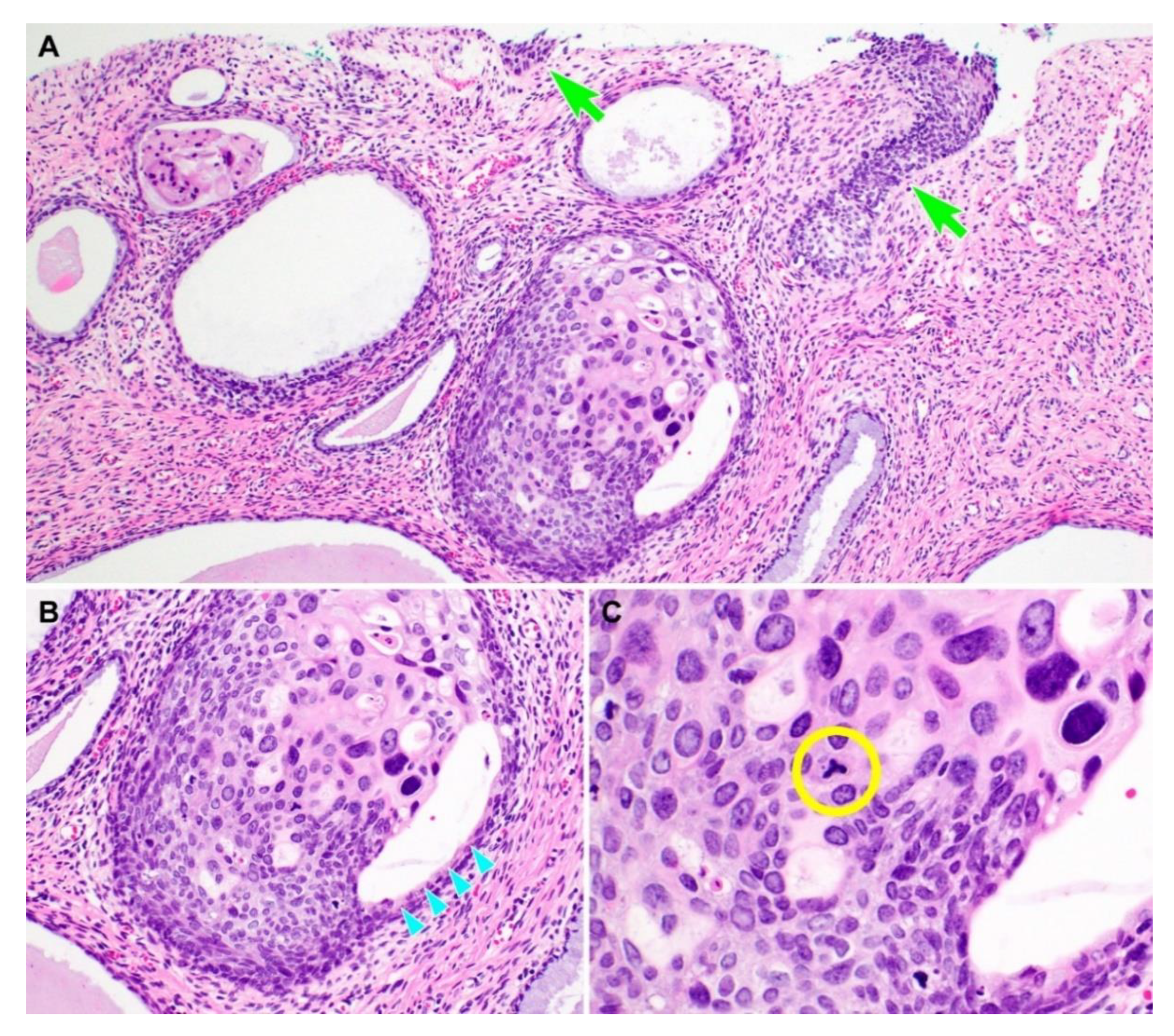 Diagnostics 10 00595 g001 Diagnostics 10 00595 g001