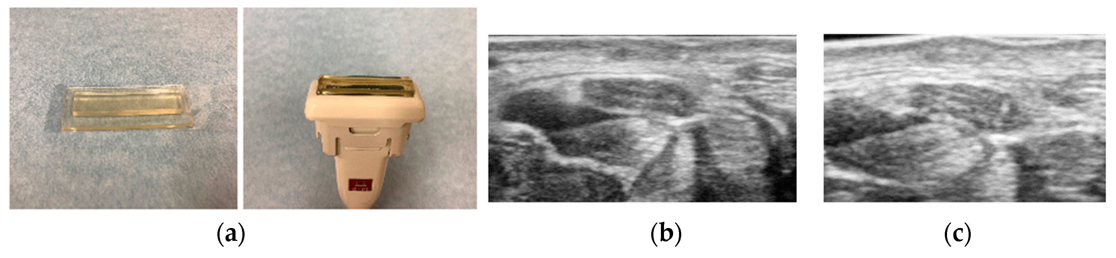 Diagnostics 10 00596 g002 Diagnostics 10 00596 g002