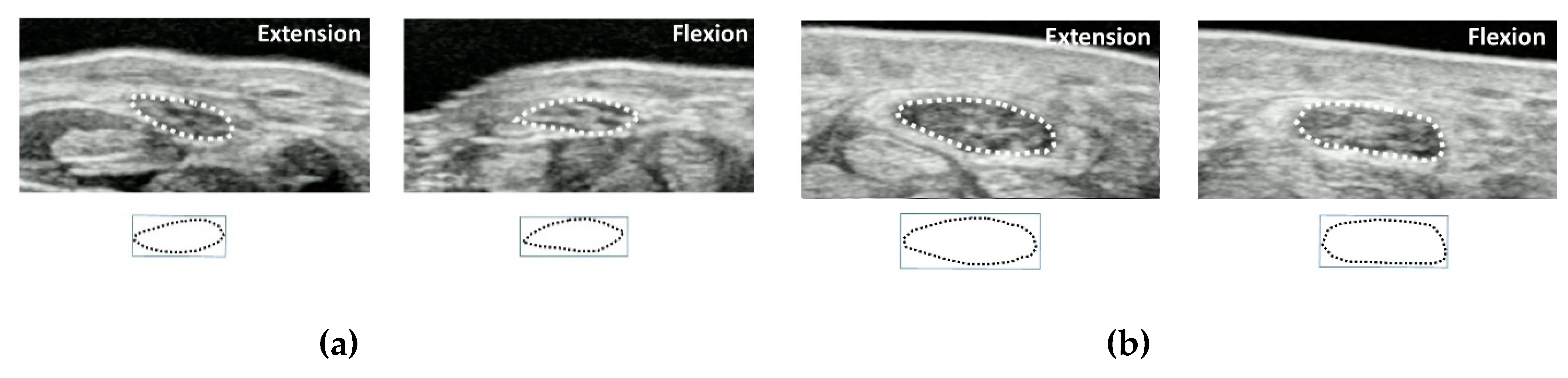 Diagnostics 10 00596 g003 Diagnostics 10 00596 g003