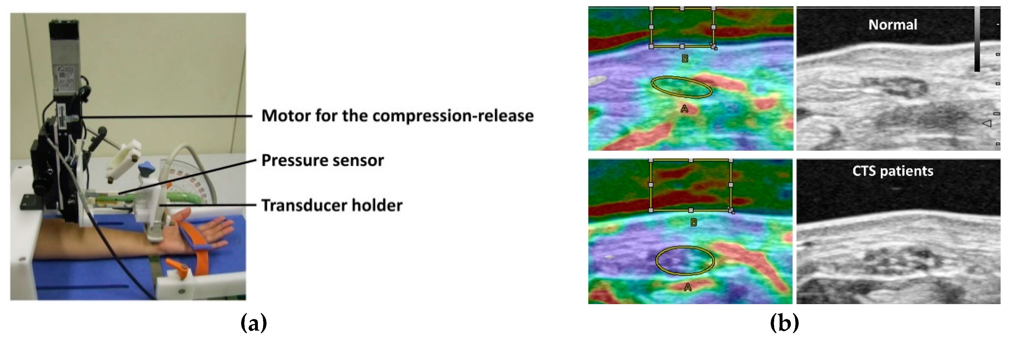 Diagnostics 10 00596 g004 Diagnostics 10 00596 g004