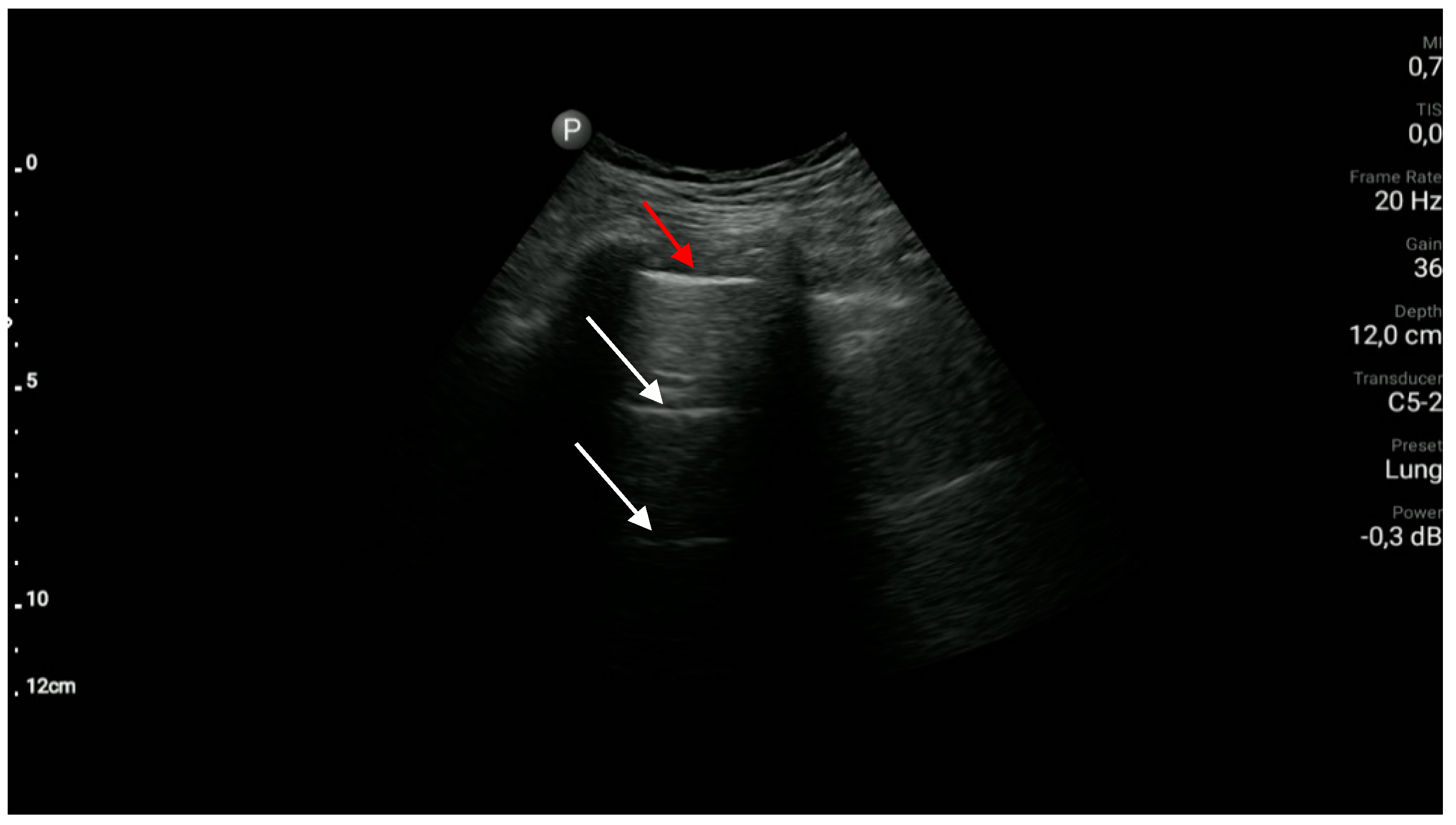 Diagnostics 10 00597 g003