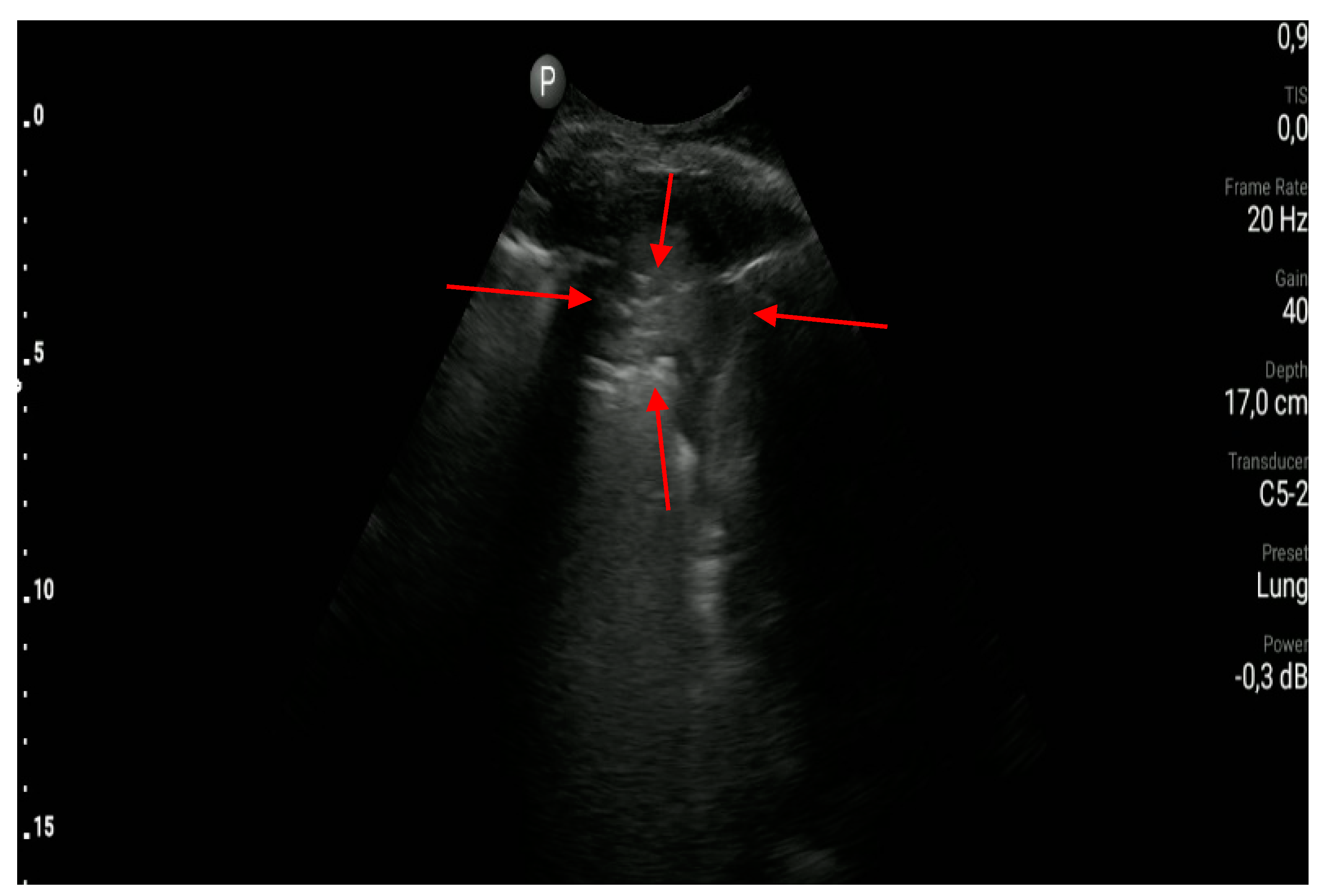 Diagnostics 10 00597 g007