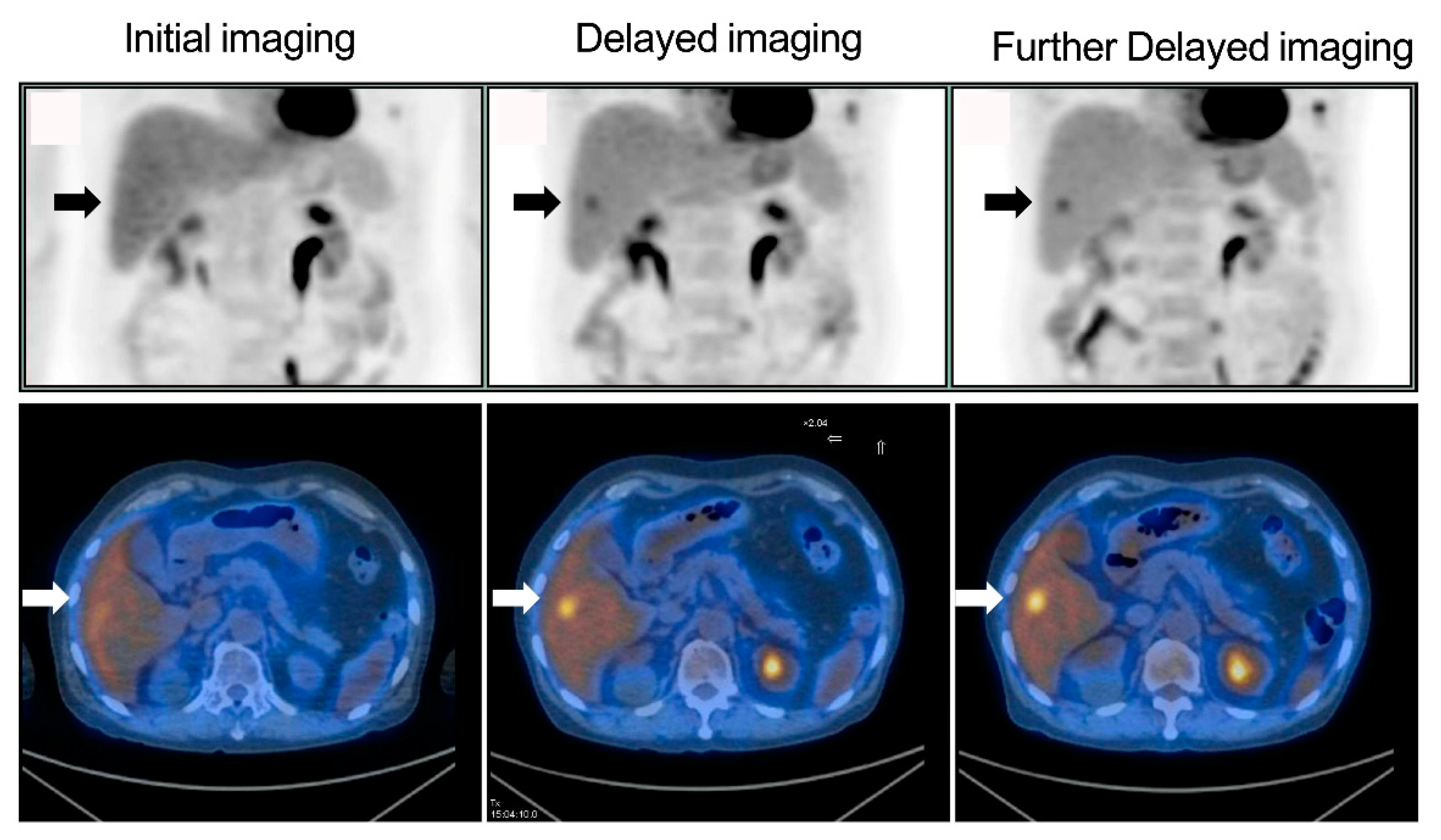 Diagnostics 10 00609 g002