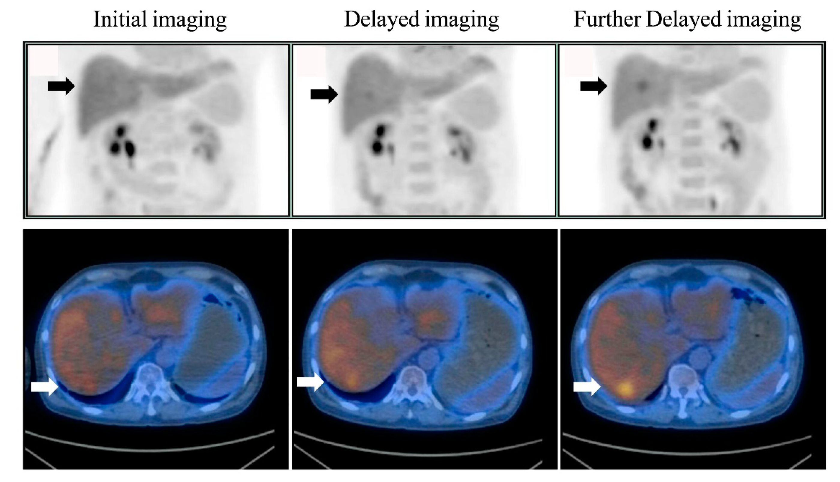 Diagnostics 10 00609 g003