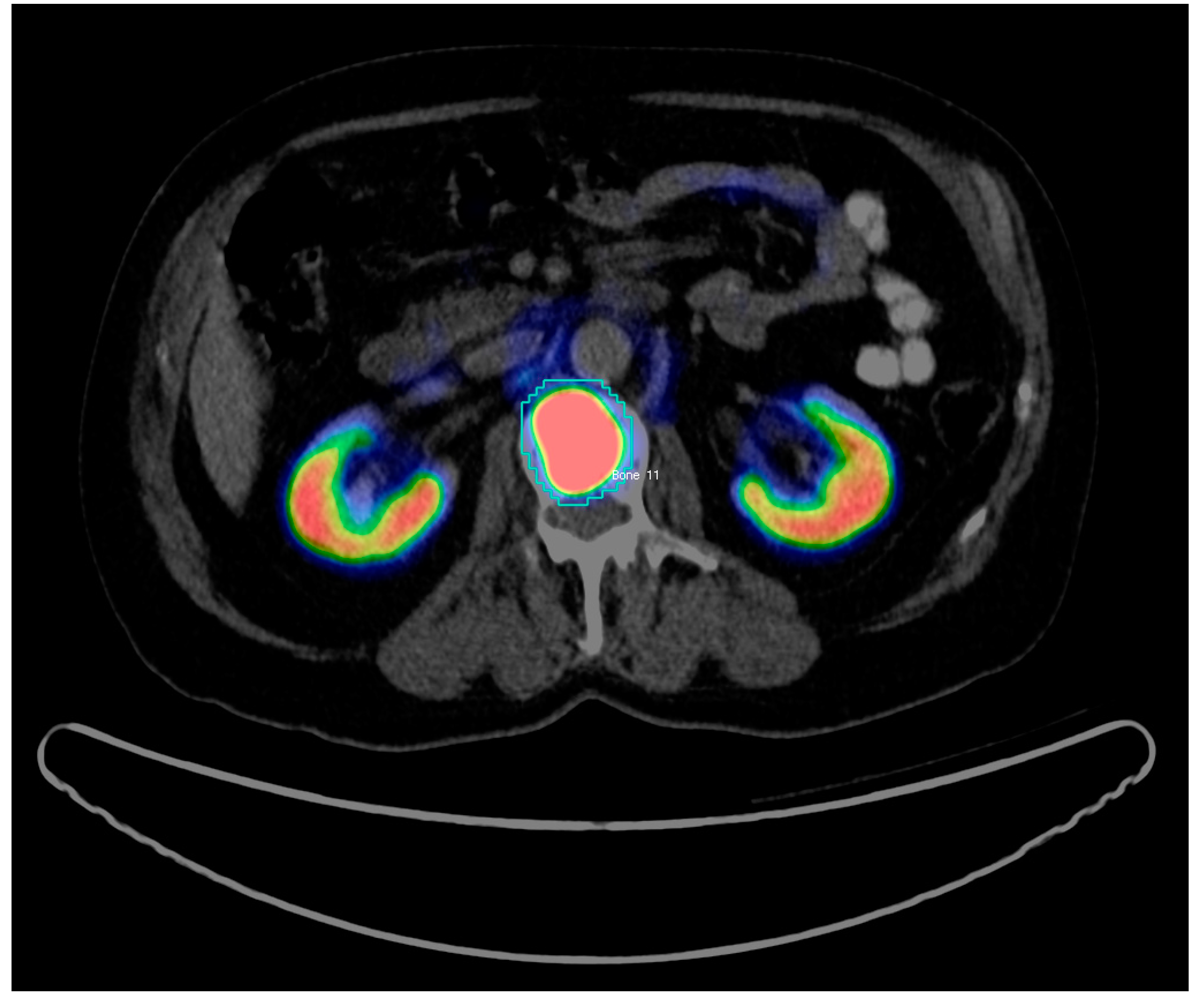 Diagnostics 10 00622 g001