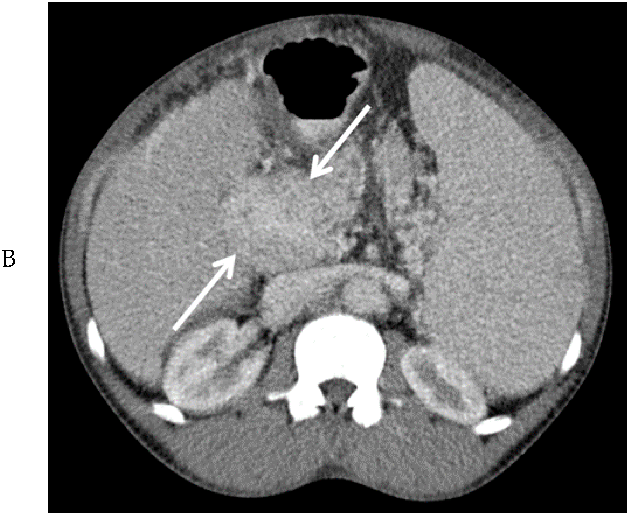 Delenox Radiology Patient Portal - n2qbw2e