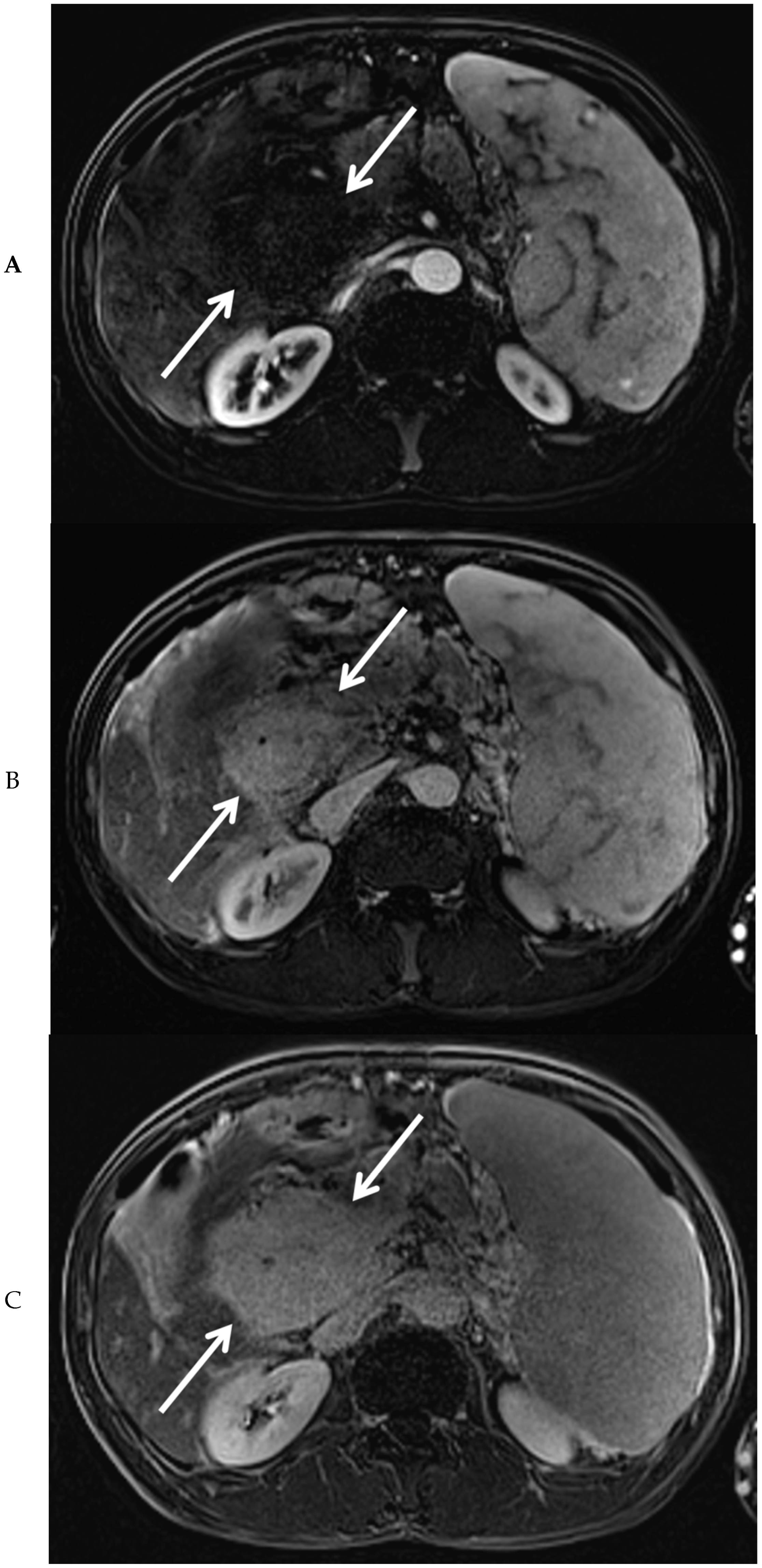 Diagnostics 10 00623 g003a