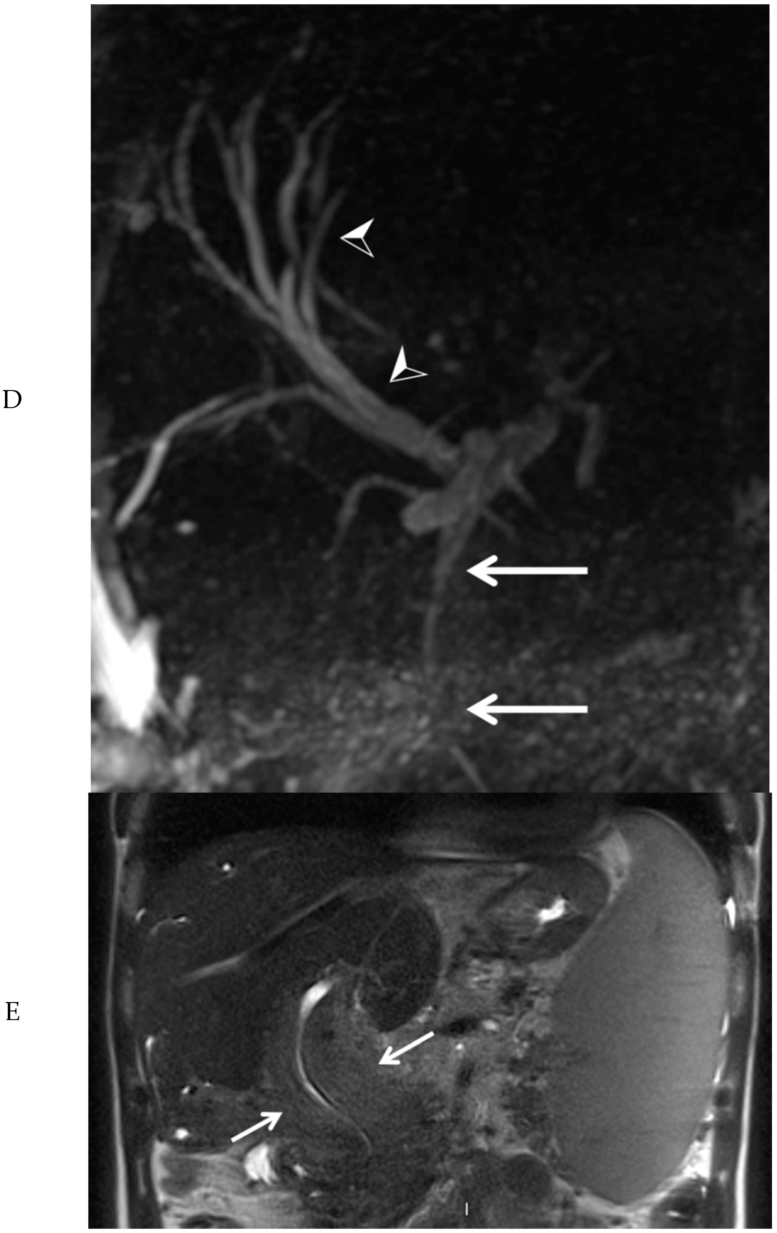 Diagnostics 10 00623 g003b