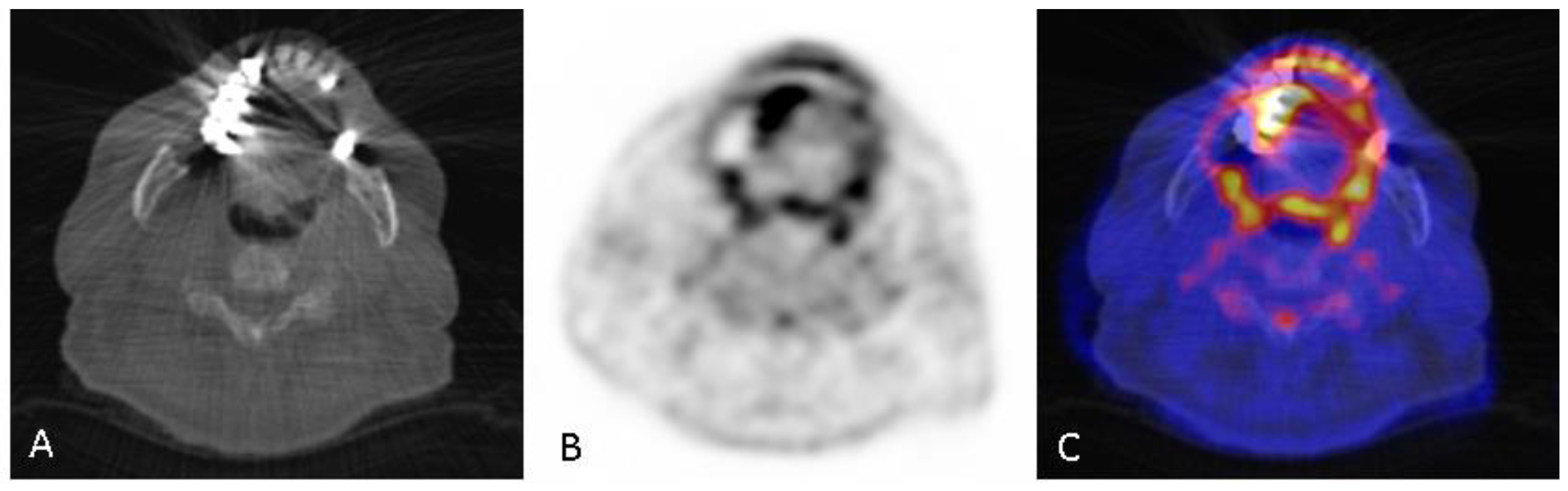 Diagnostics 10 00625 g002