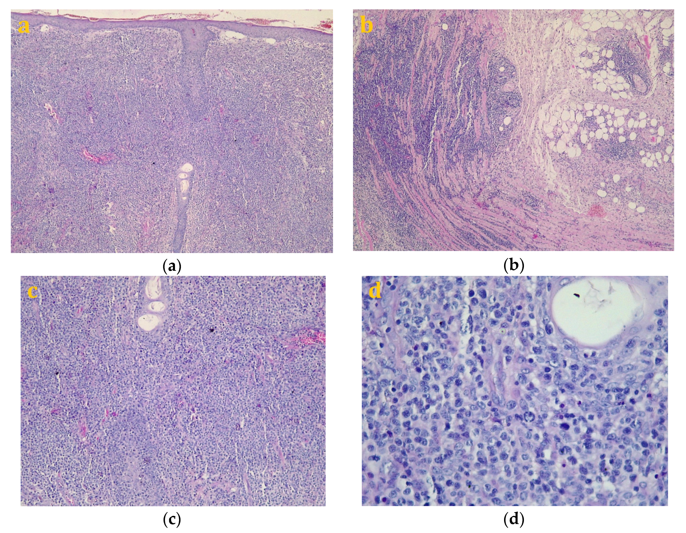 Diagnostics 10 00629 g002 Diagnostics 10 00629 g002