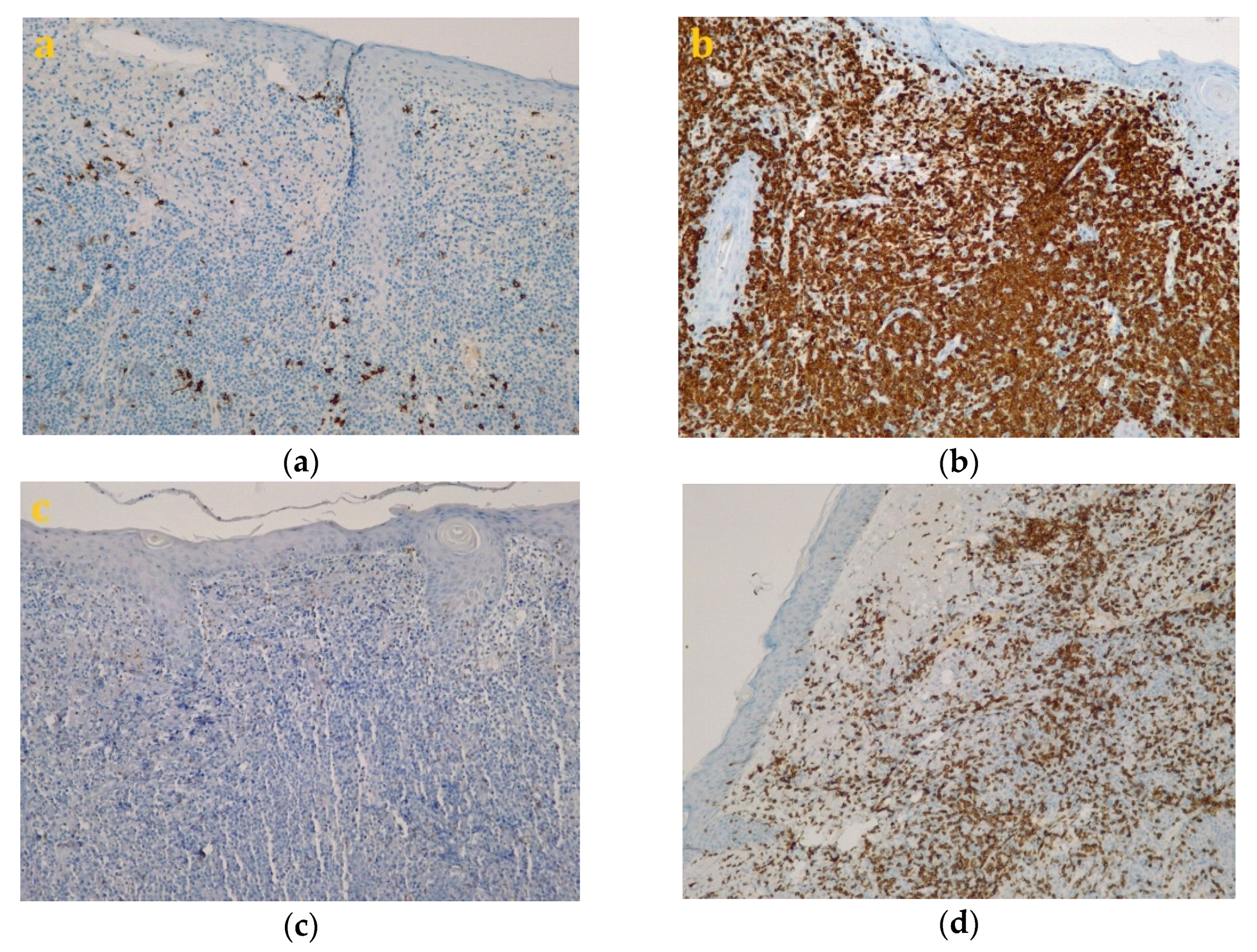 Diagnostics 10 00629 g003a Diagnostics 10 00629 g003a