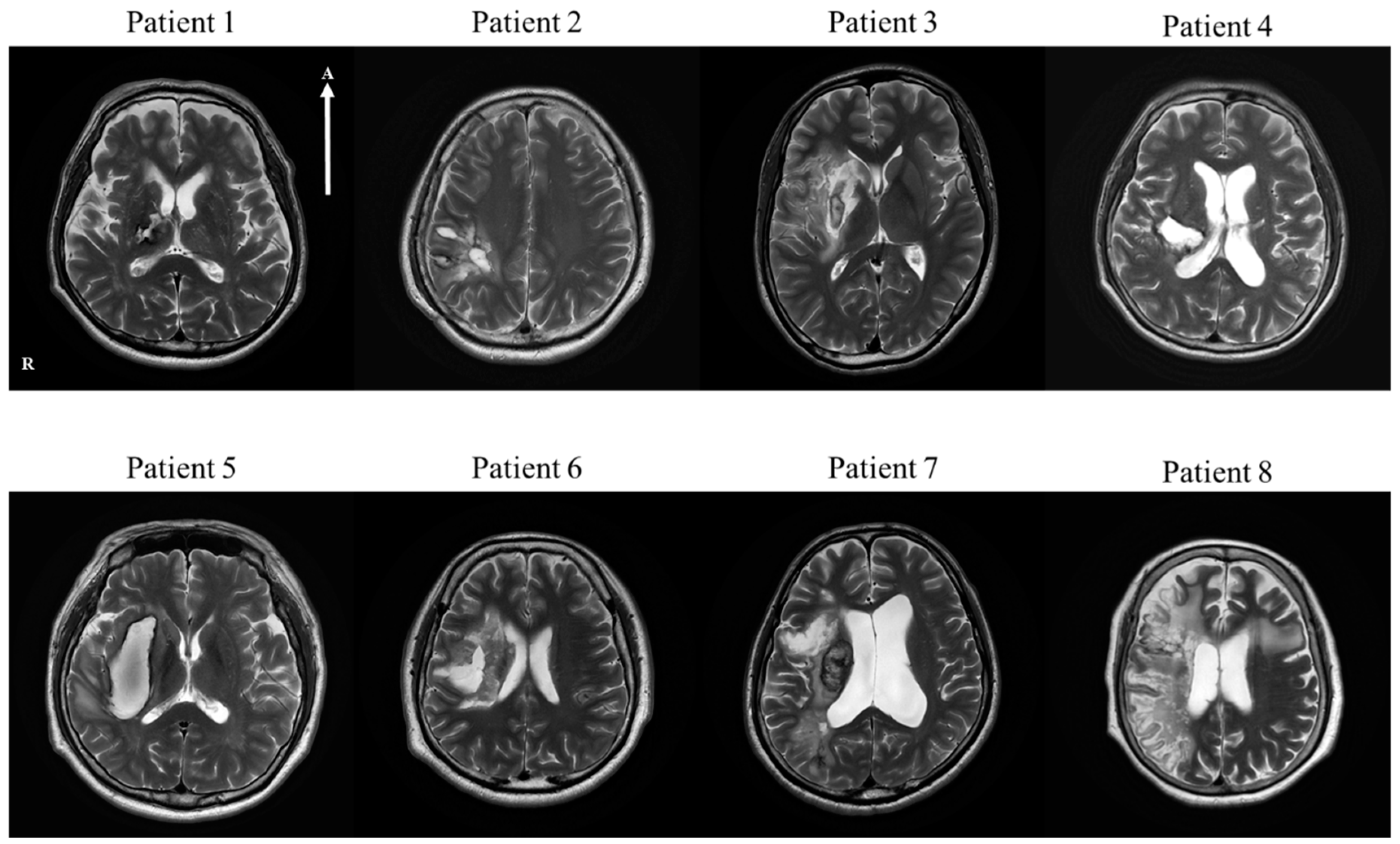 Diagnostics 10 00641 g001