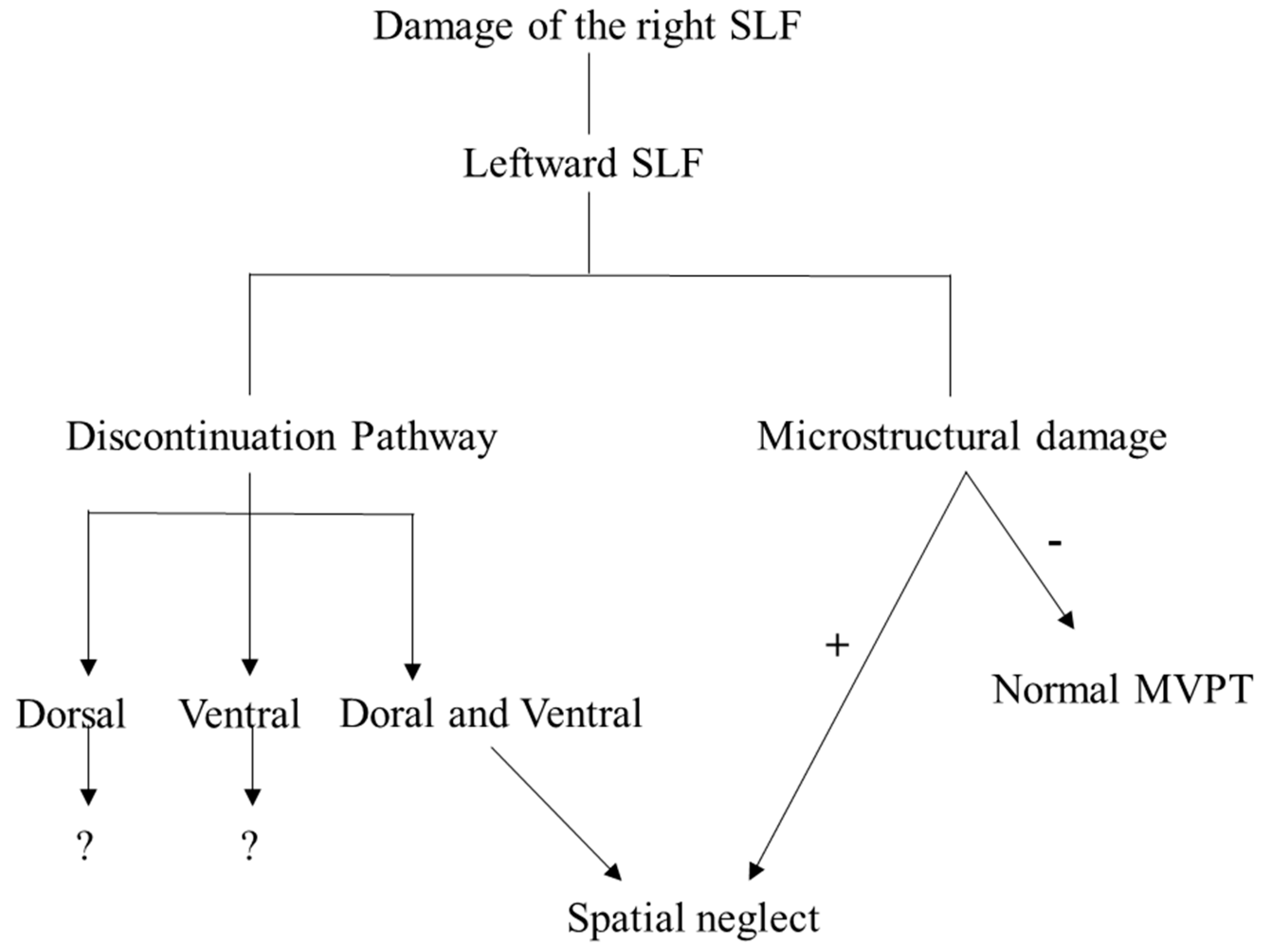 Diagnostics 10 00641 g004