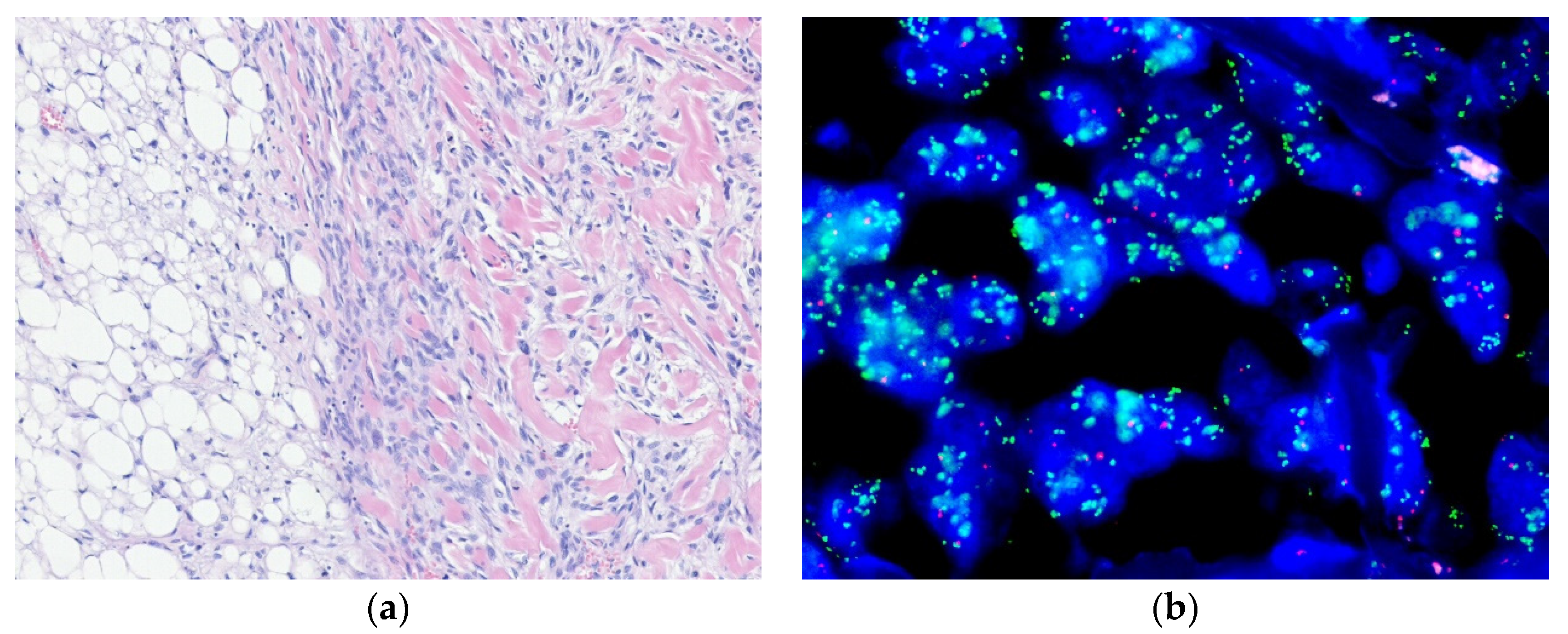 Diagnostics 10 00642 g002 Diagnostics 10 00642 g002