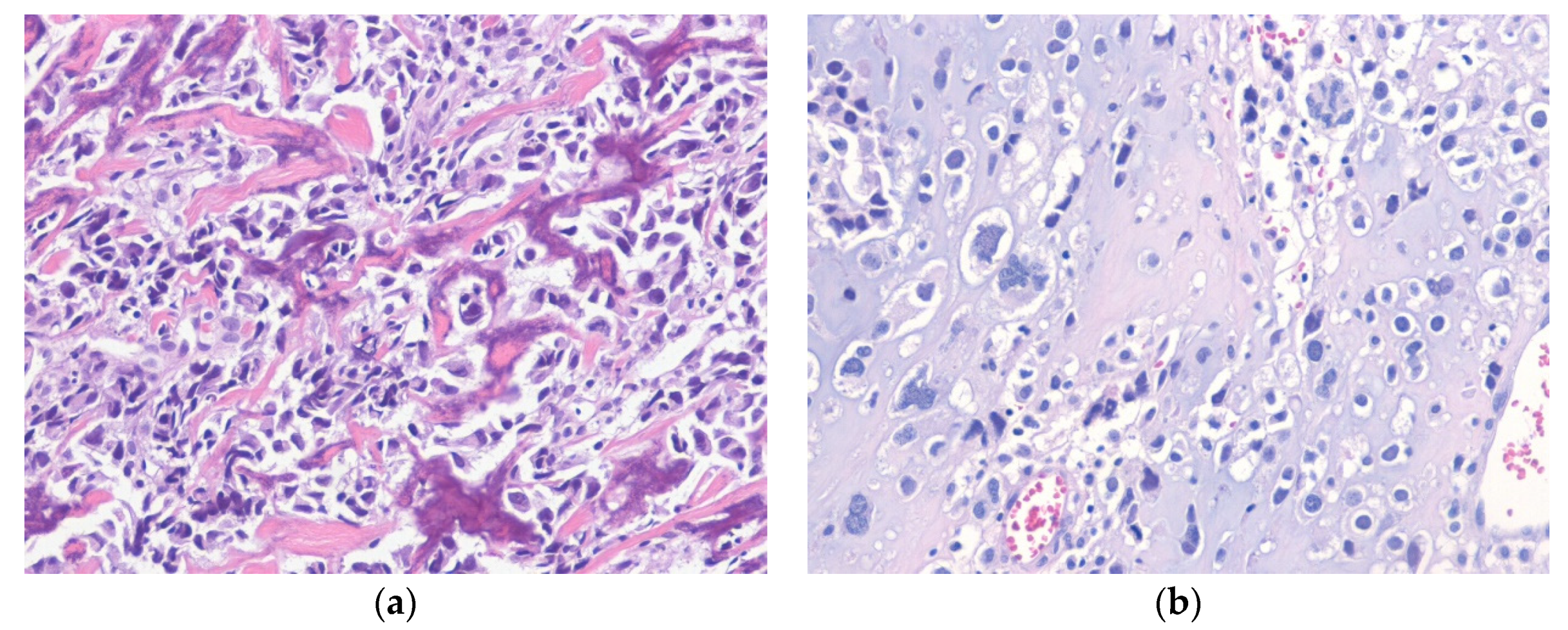 Diagnostics 10 00642 g009 Diagnostics 10 00642 g009