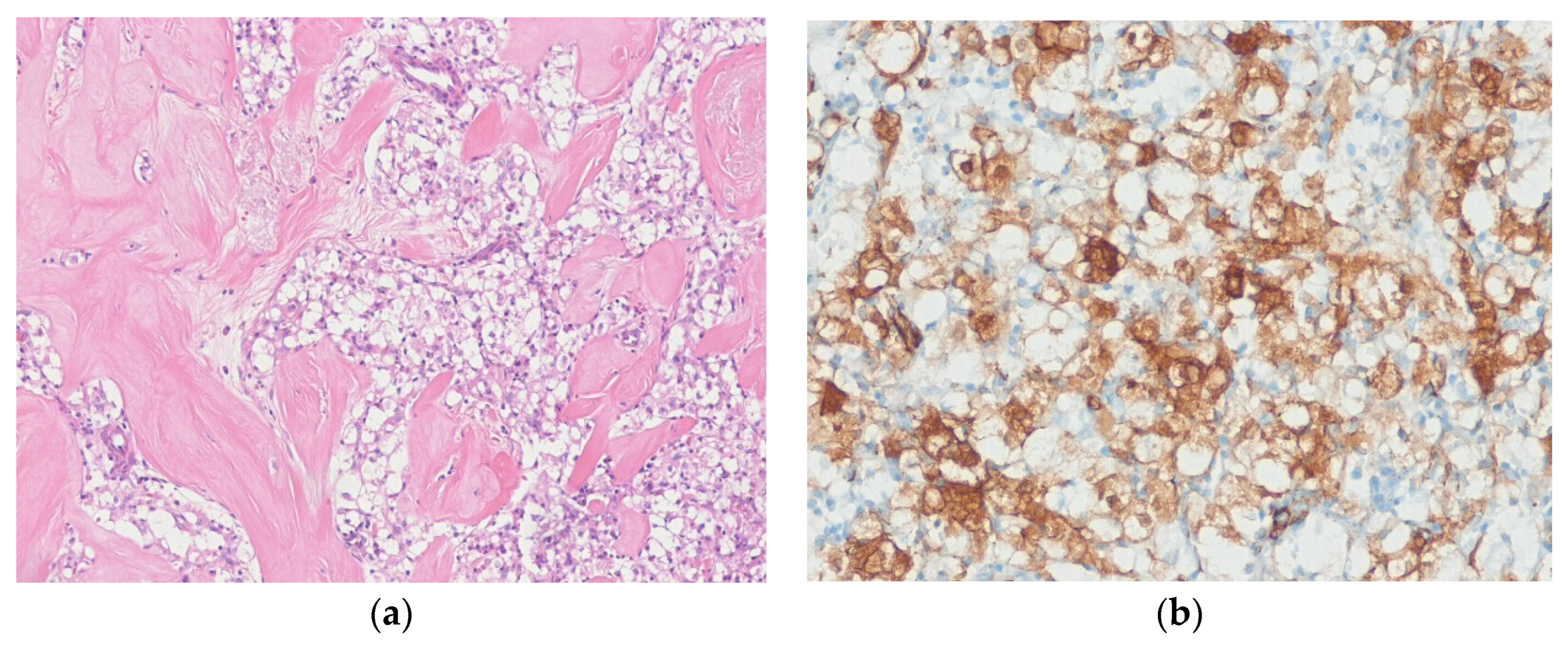 Diagnostics 10 00642 g012 Diagnostics 10 00642 g012