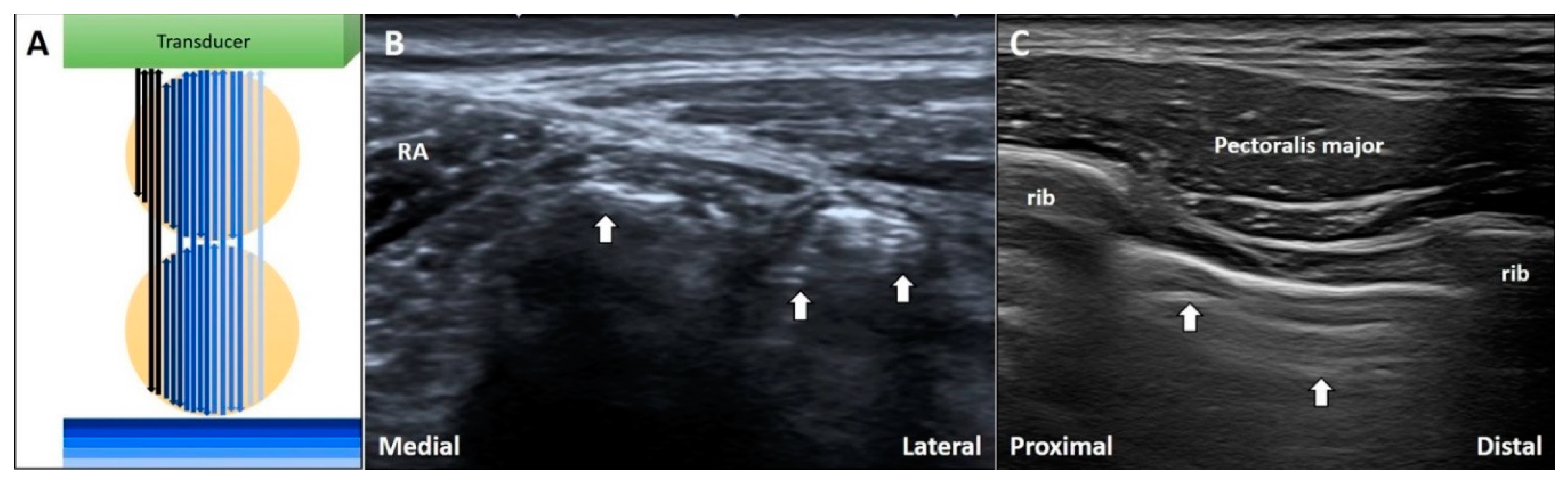 Diagnostics 10 00645 g008 Diagnostics 10 00645 g008
