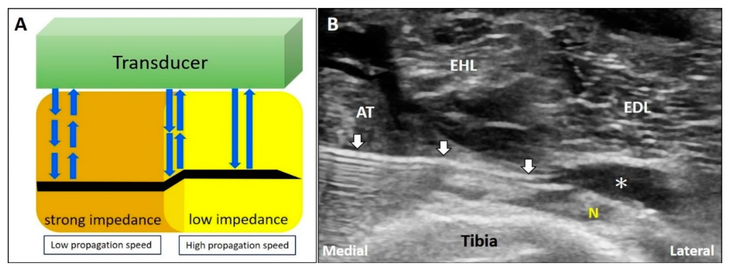 Diagnostics 10 00645 g012 Diagnostics 10 00645 g012