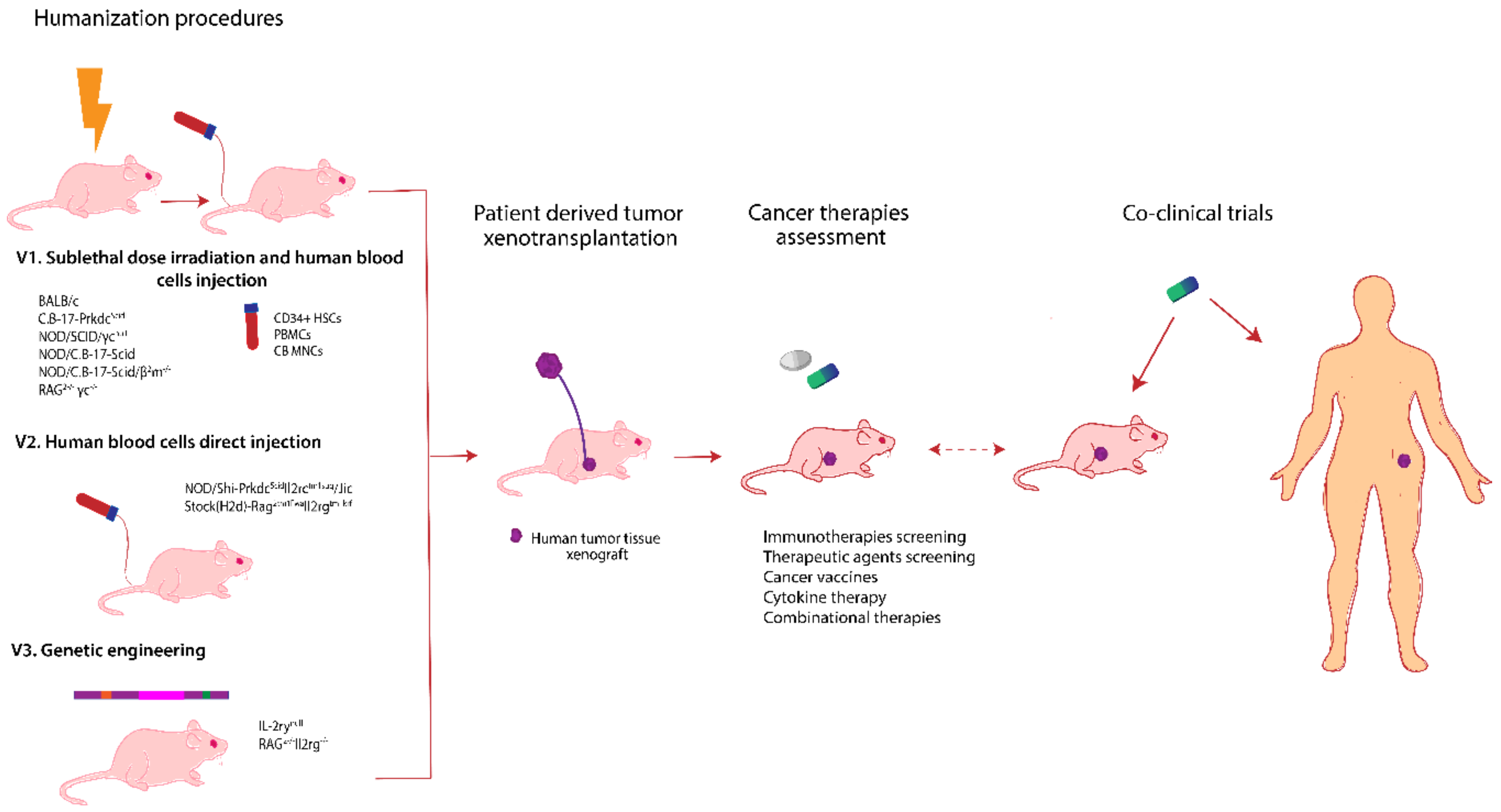 Diagnostics | Free Full-Text | Spontaneous and Induced Animal Models for Cancer Research Diagnostics | Free Full-Text | Spontaneous and Induced Animal Models for Cancer Research