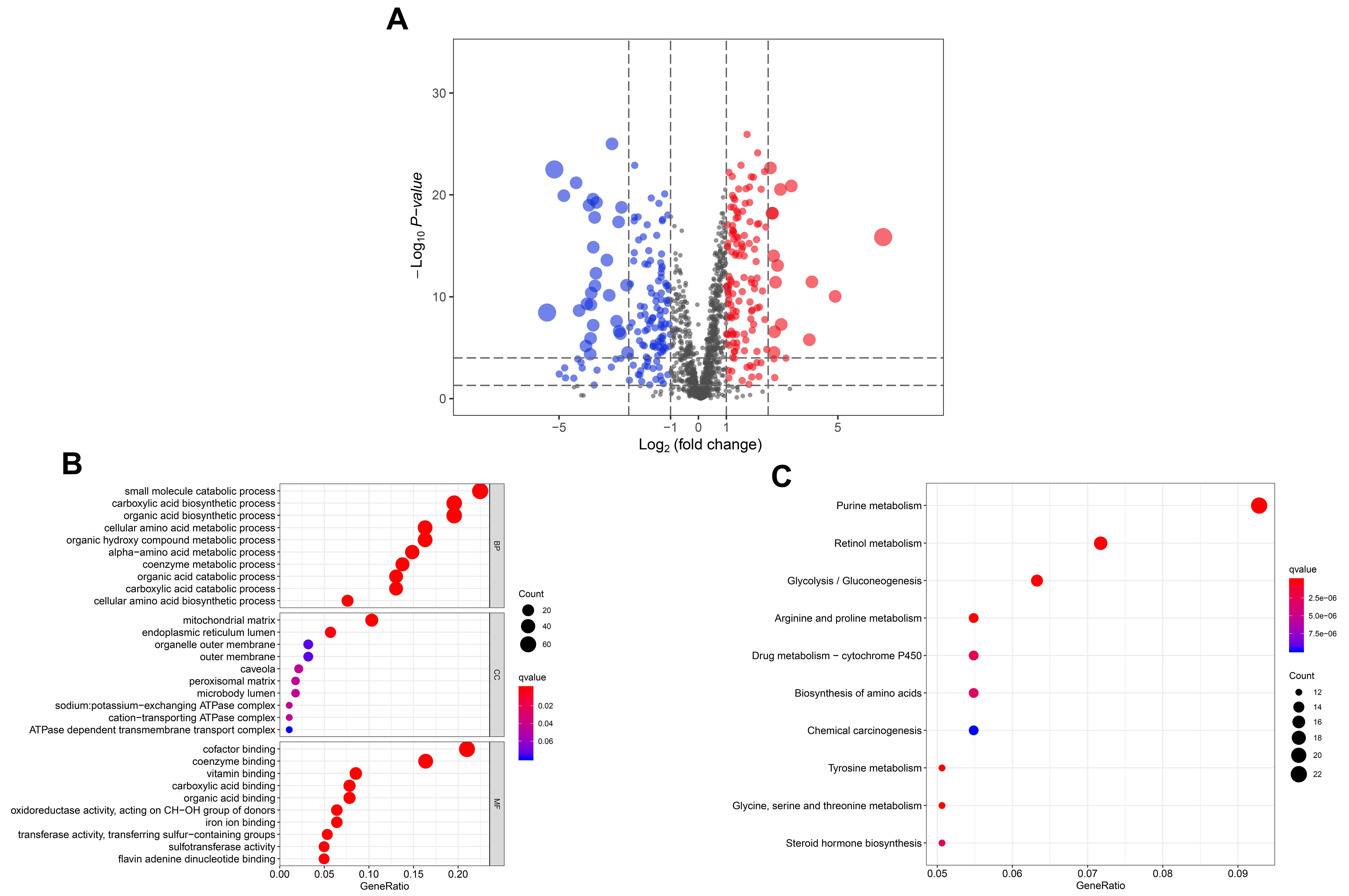Diagnostics 10 00689 g001 Diagnostics 10 00689 g001