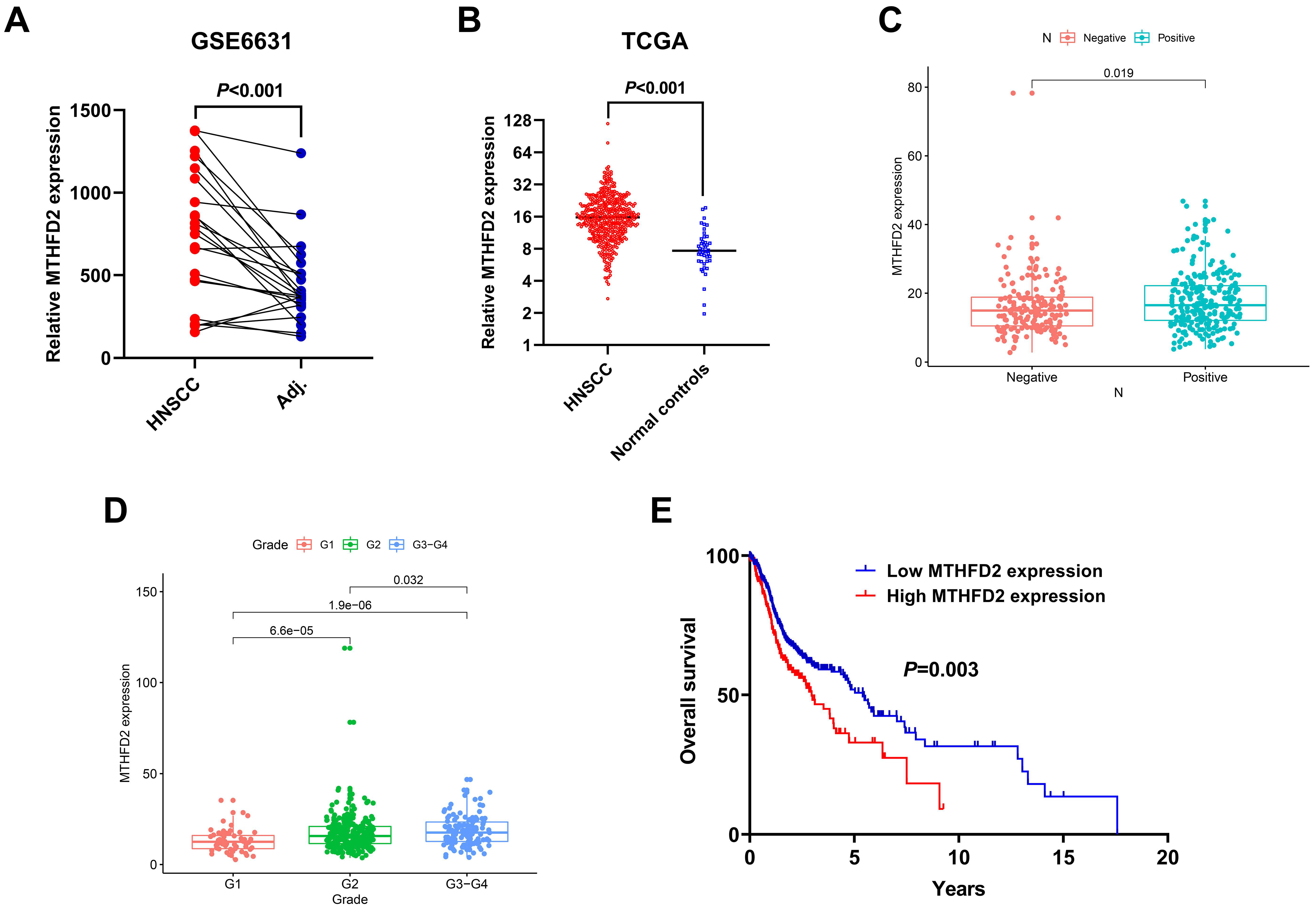 Diagnostics 10 00689 g003 Diagnostics 10 00689 g003