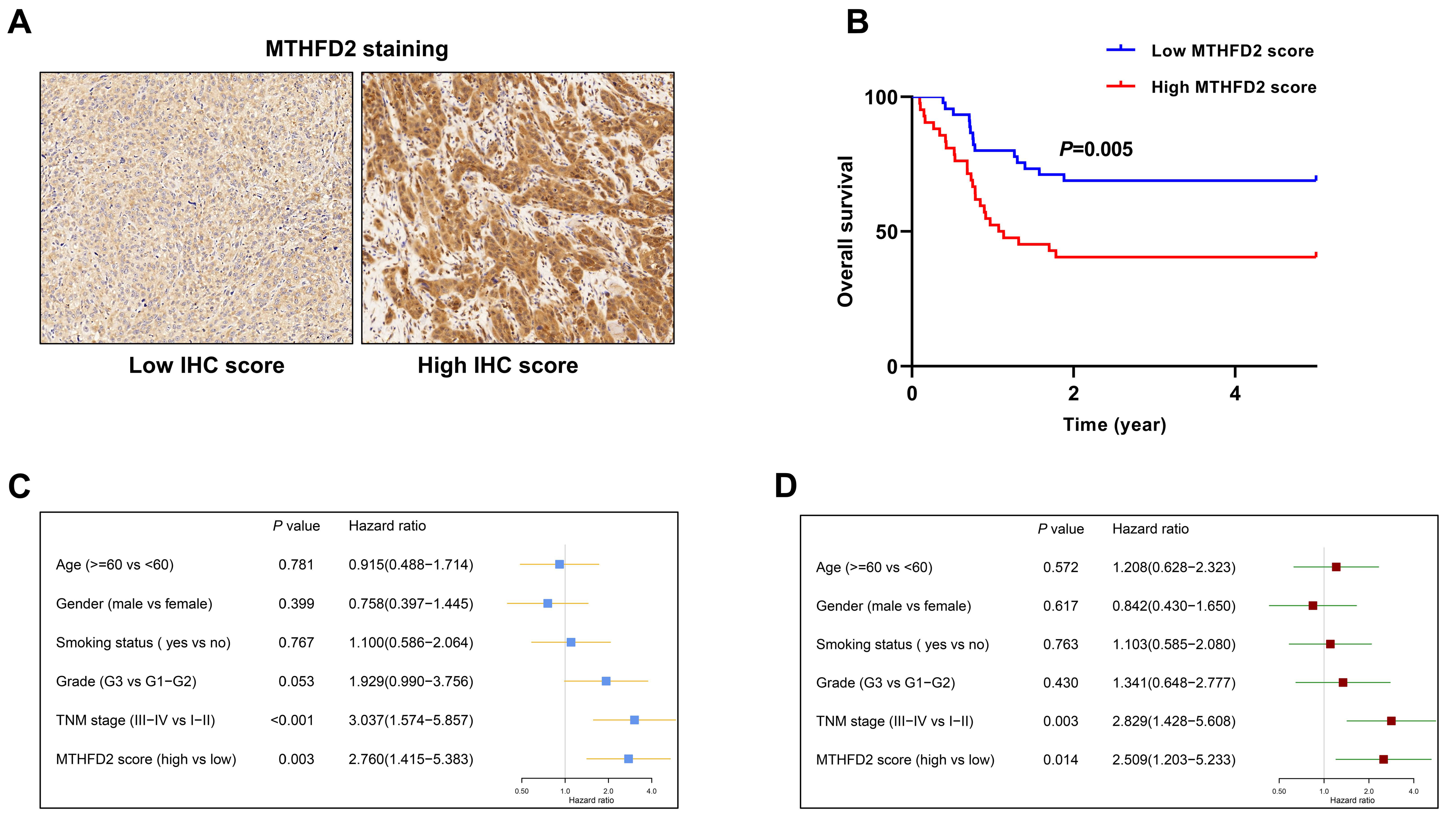 Diagnostics 10 00689 g005 Diagnostics 10 00689 g005