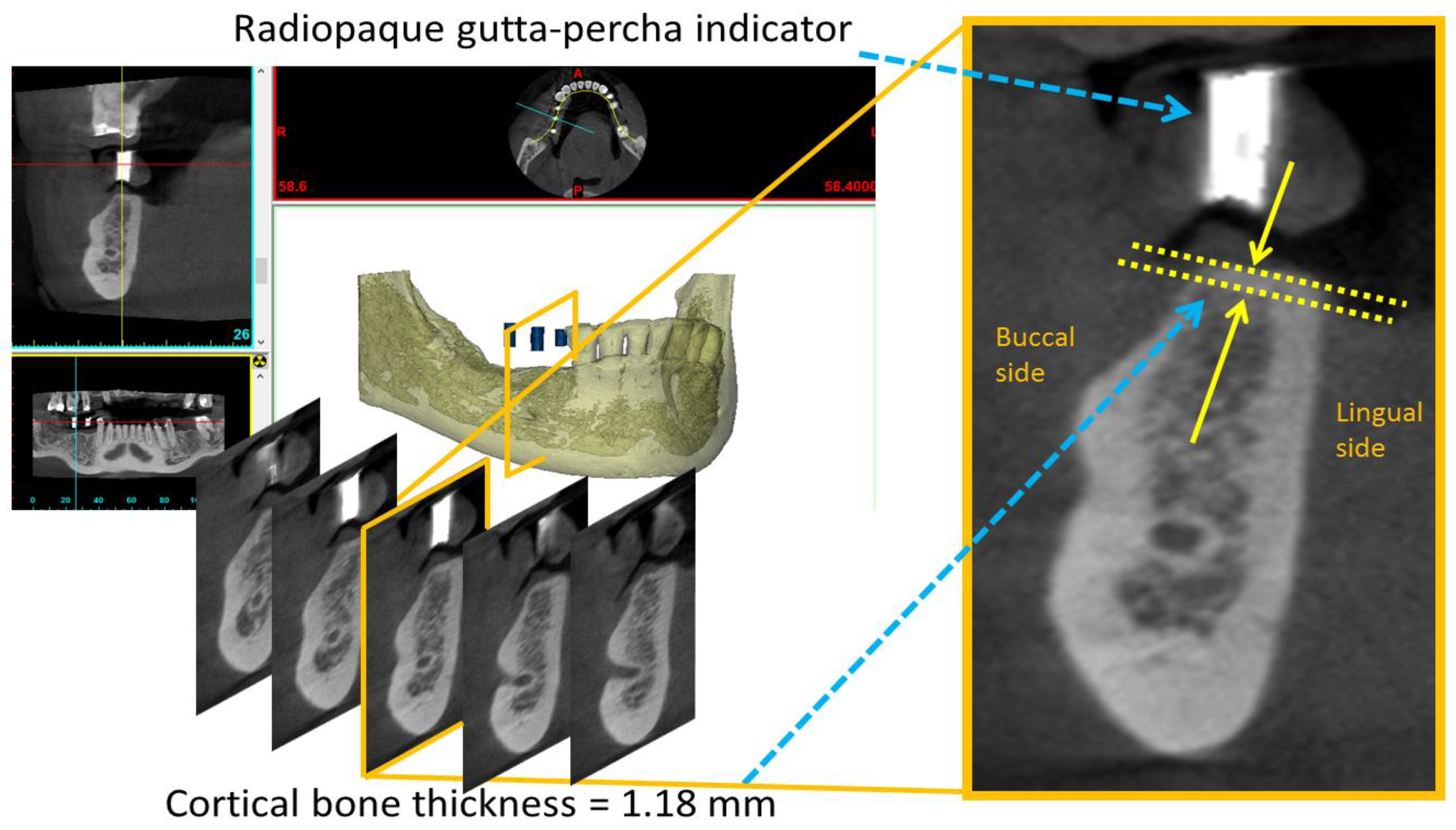 Diagnostics 10 00710 g002 Diagnostics 10 00710 g002