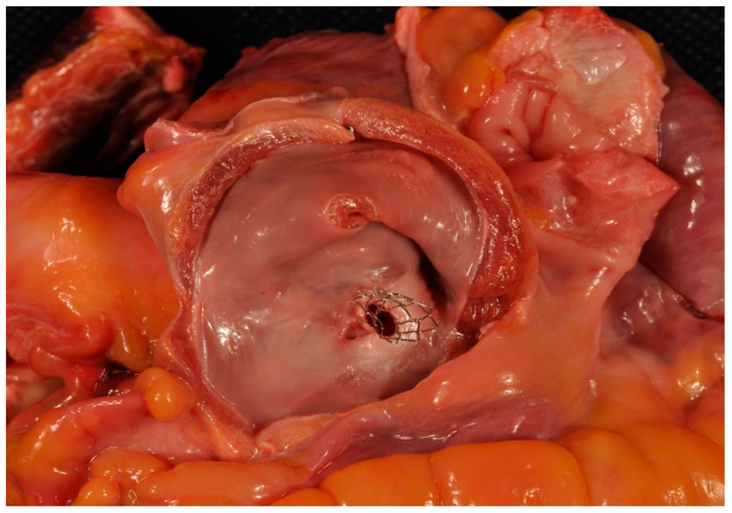 Diagnostics 10 00725 g004 Diagnostics 10 00725 g004