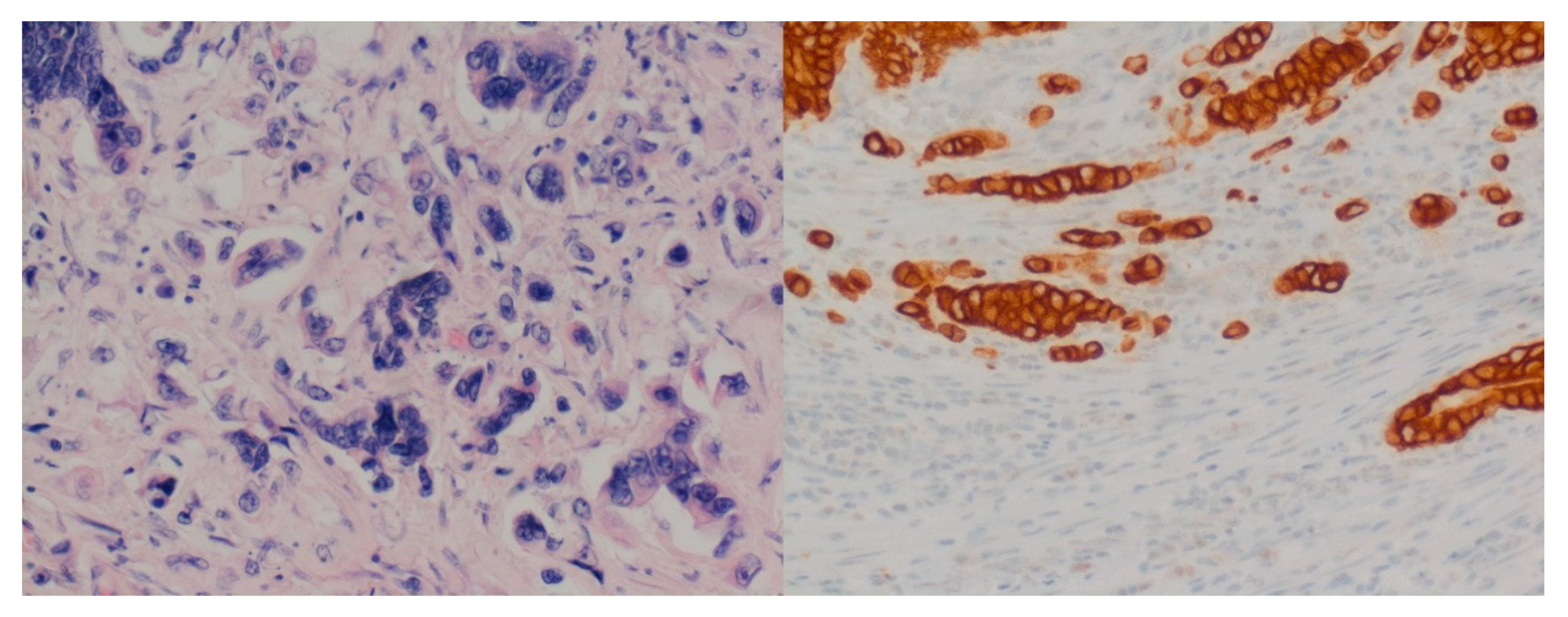 Diagnostics 10 00730 g001 Diagnostics 10 00730 g001